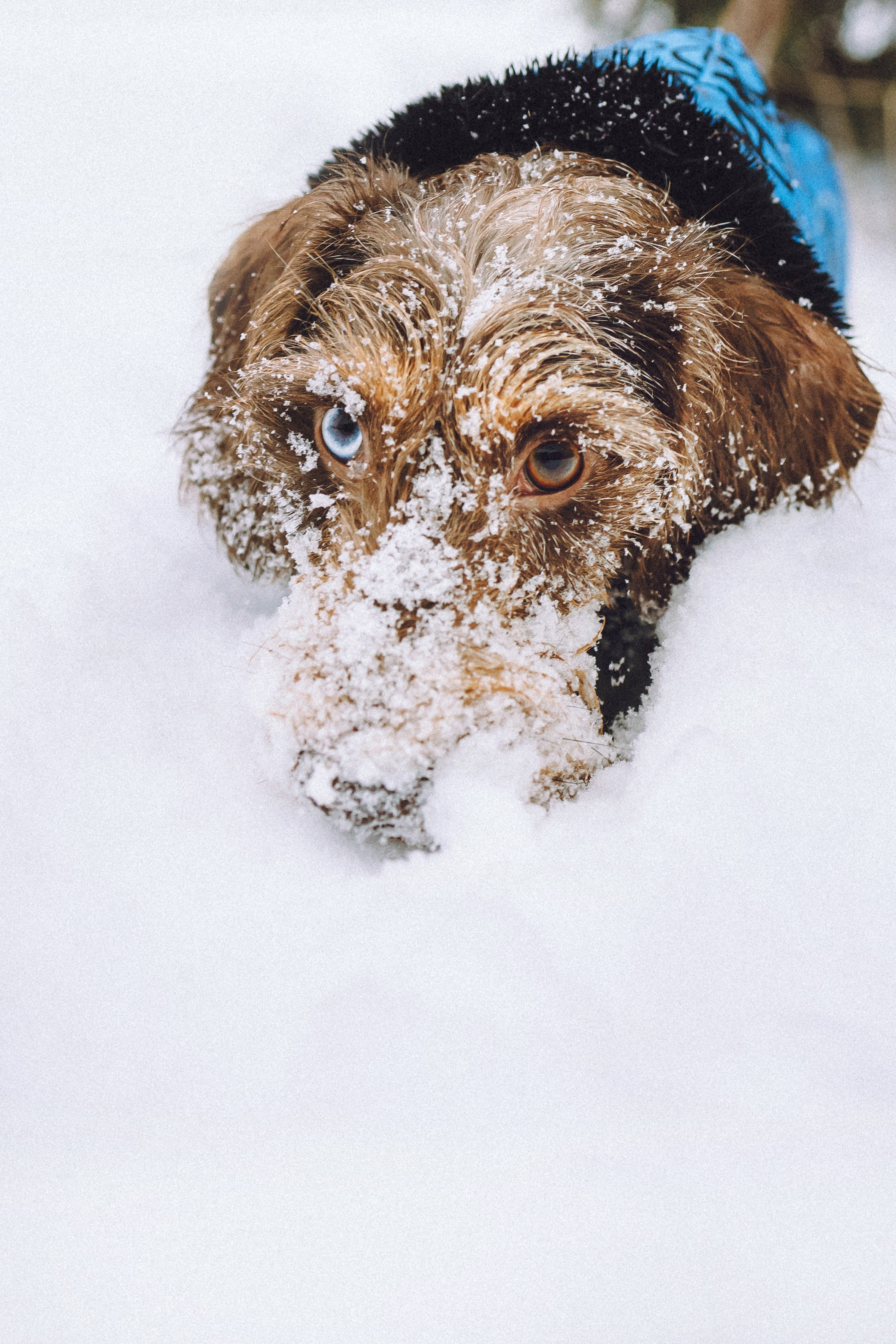 Каспер и его семья