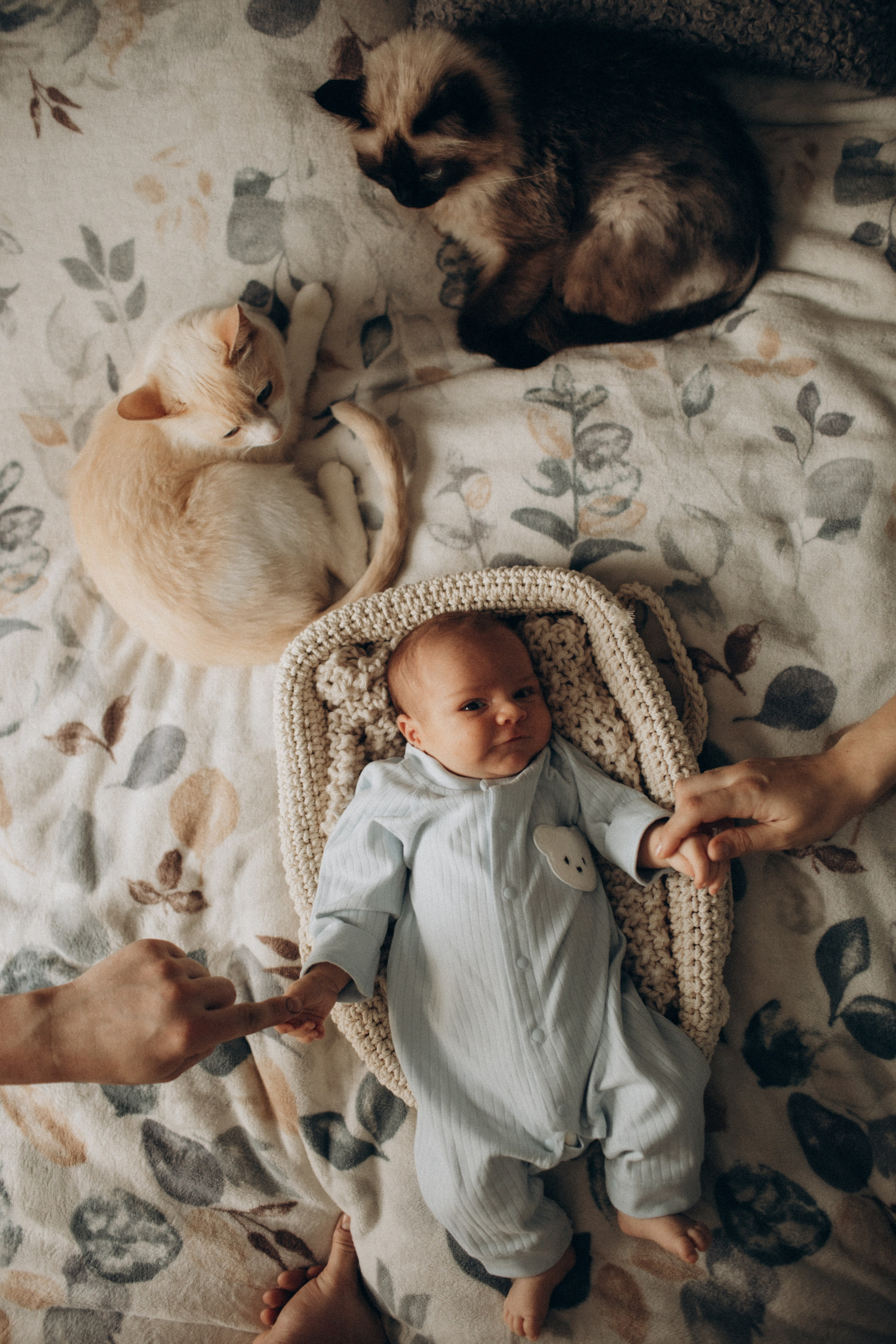 Диме 3 недели и 4 дня!. Семейный фотограф в Челябинске Ксения Зубкова