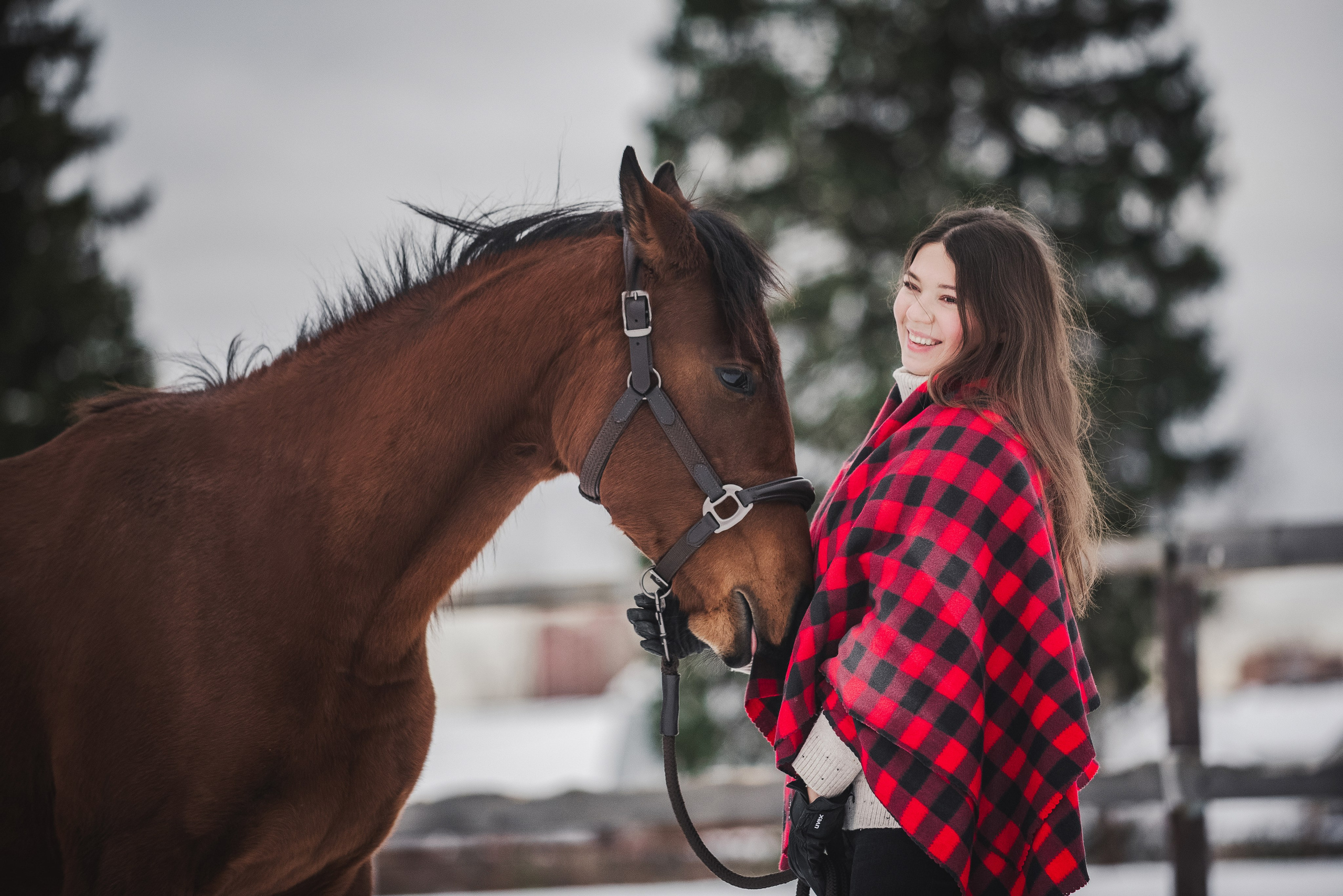 Дестини. Куракина Дарья • Конный фотограф
