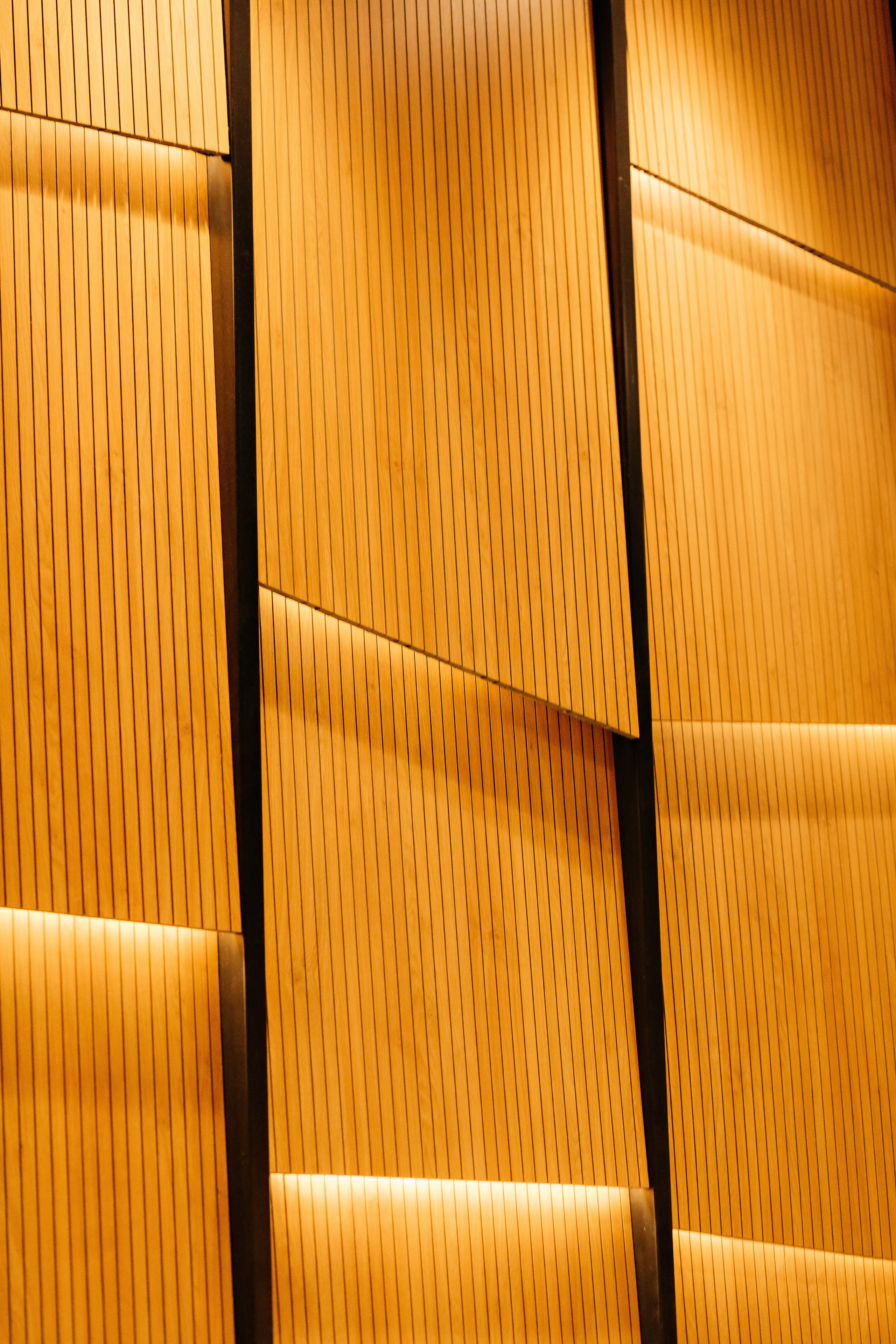 Конференция врачей. Красильников Евгений — профессиональный фотограф в Ростове-на-Дону