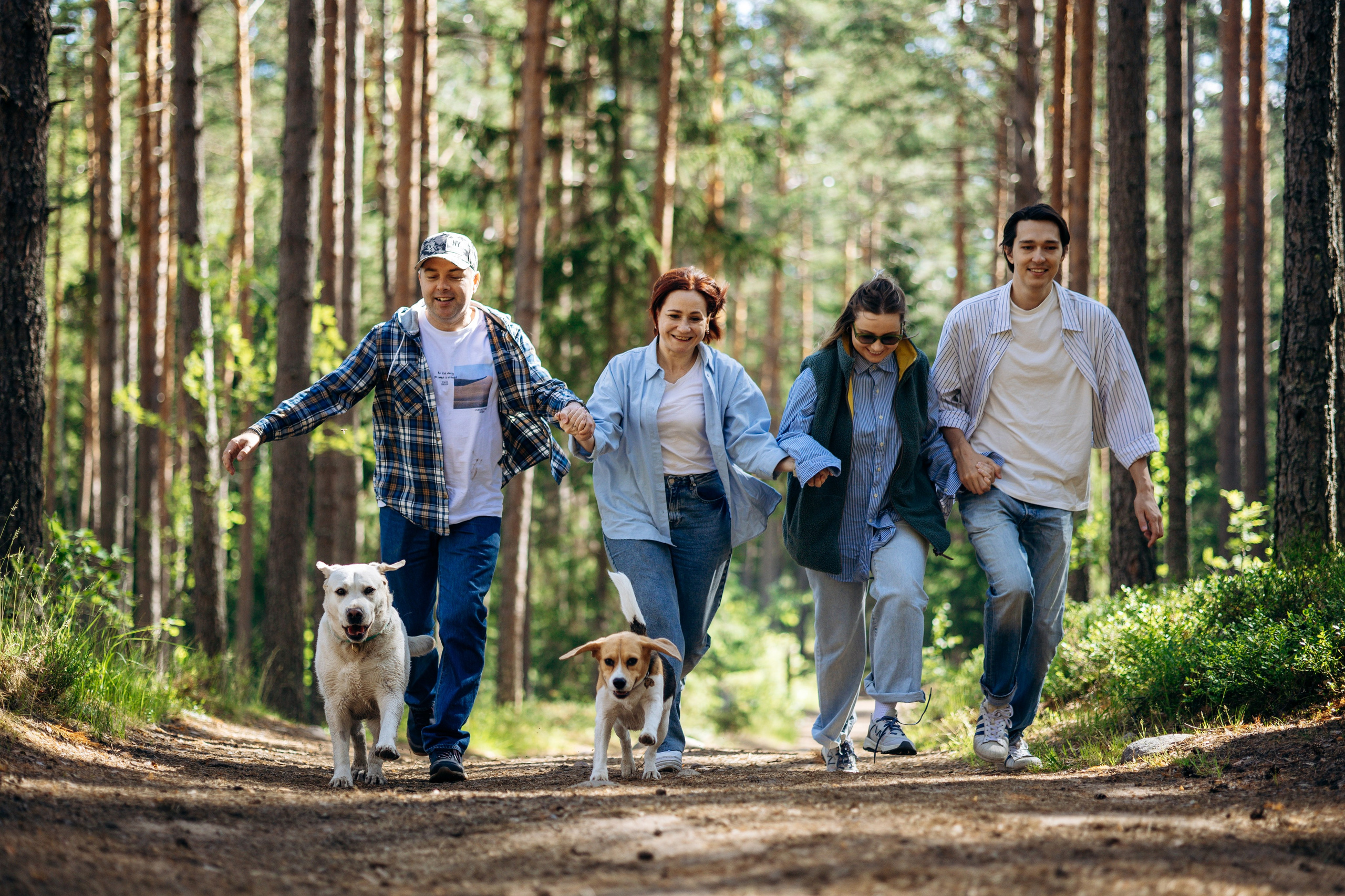 Котофеи и их семья. Фотограф — Анималист | Санкт-Петербург