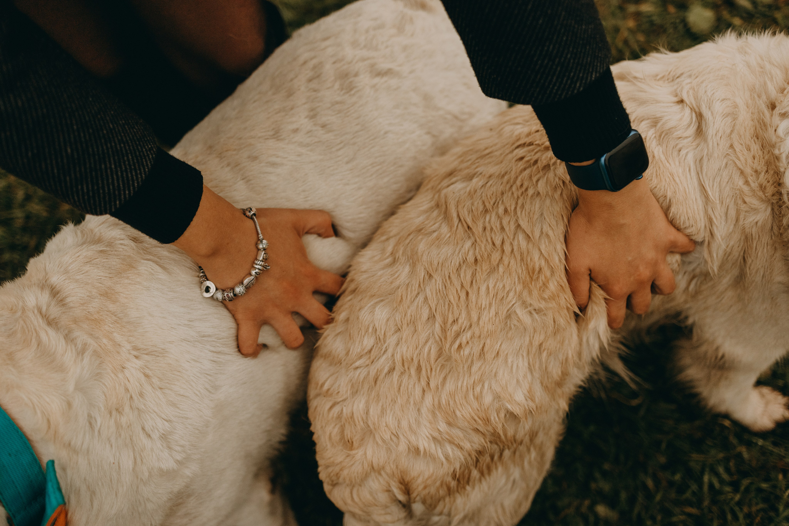 Женя и ее девочки. Фотограф — Анималист | Санкт-Петербург