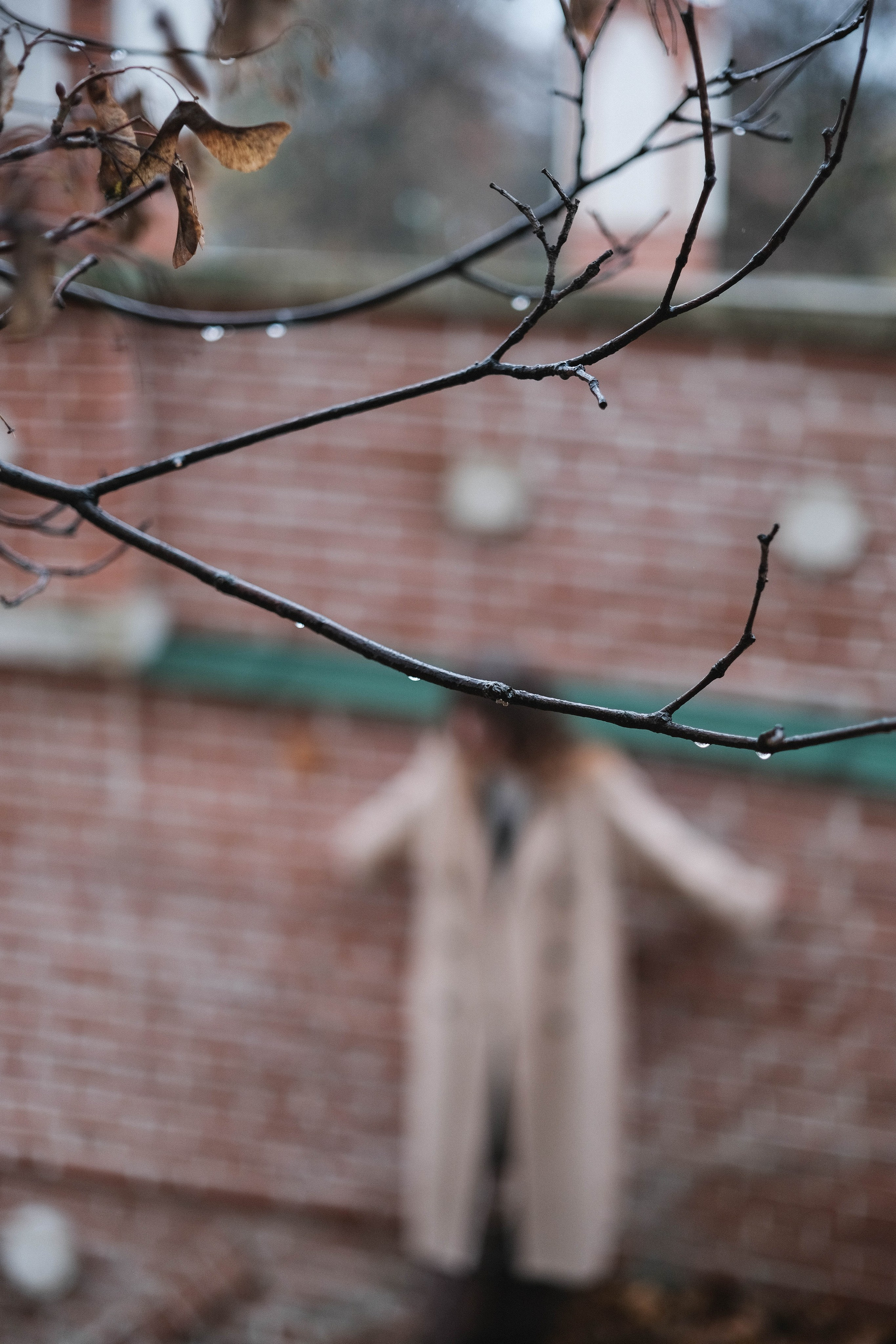 Светлана. Портретный фотограф в Москве Таня Майорова