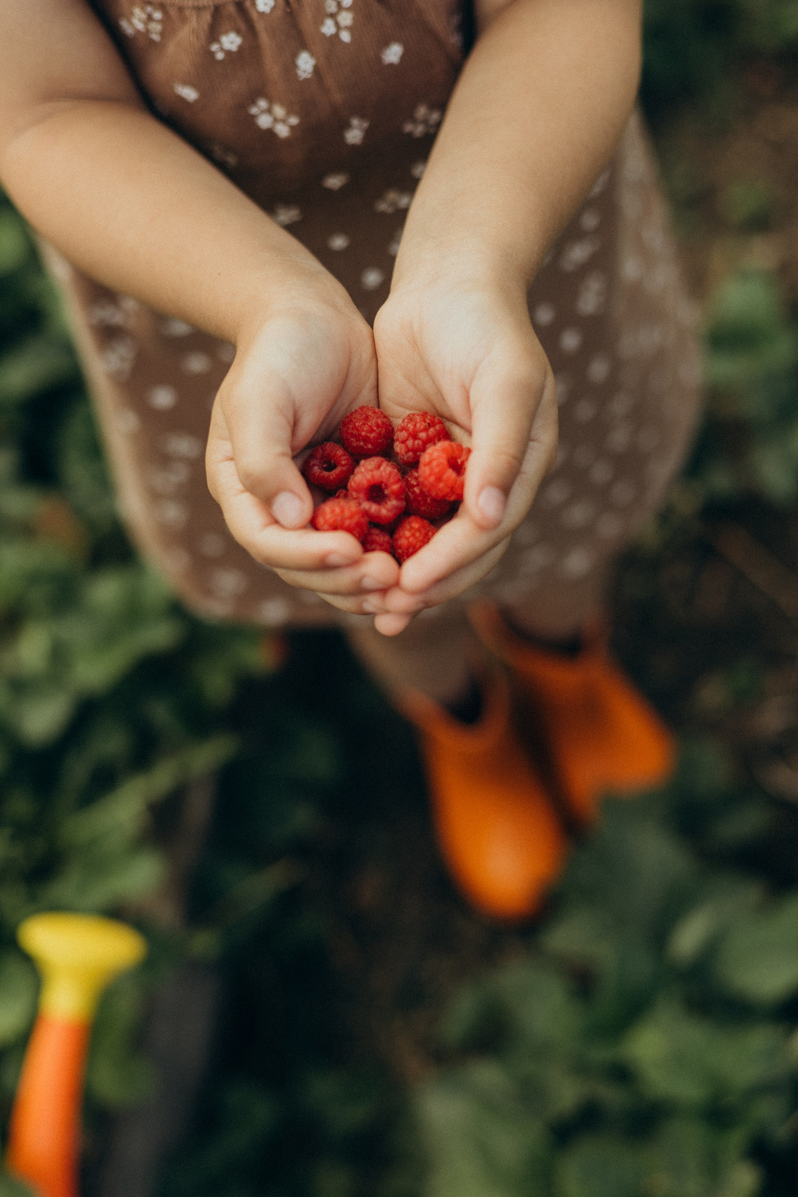 Хорошо в деревне летом…♡. Фотограф в г. Чита