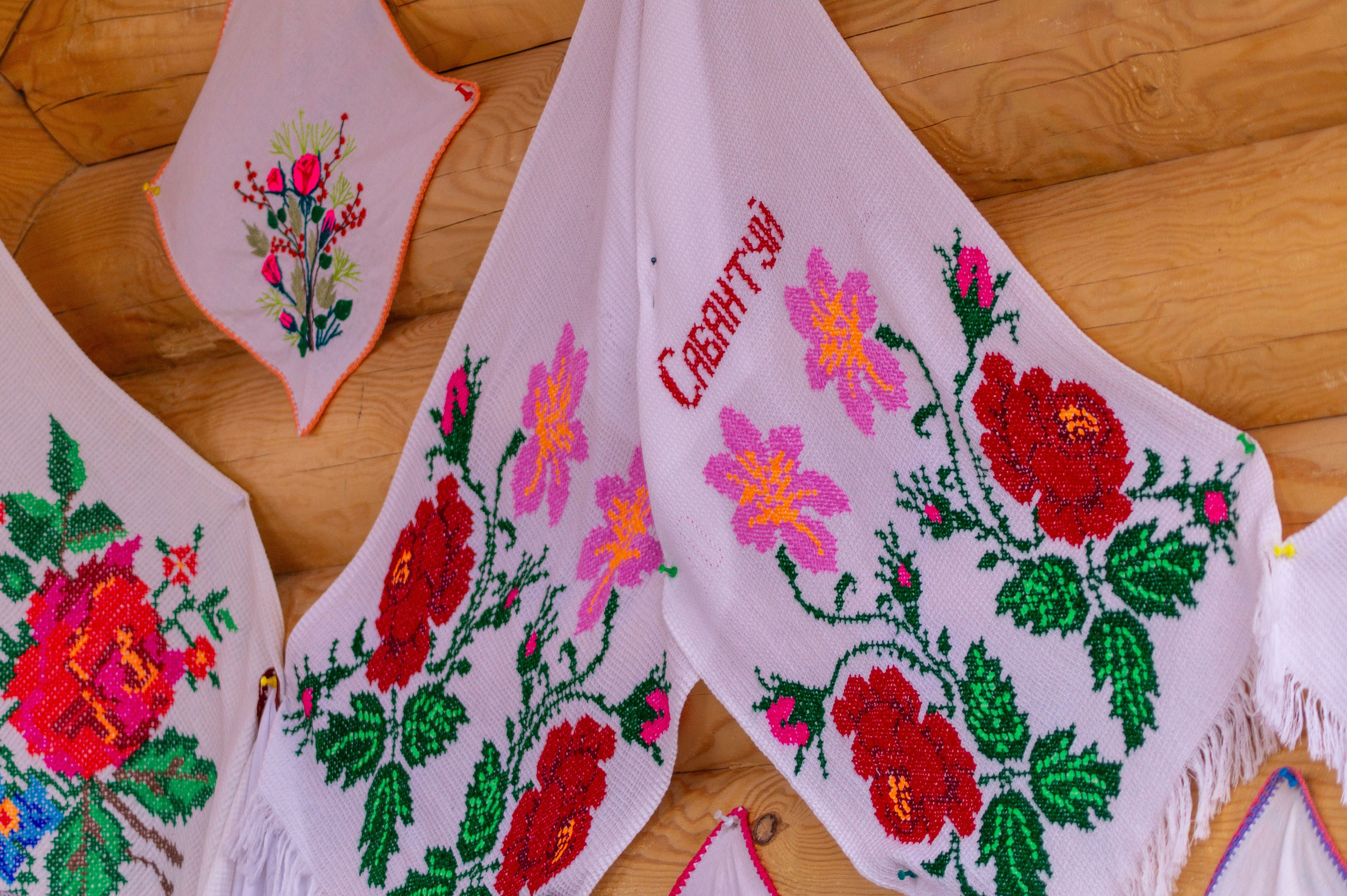 Всероссийский собантуй 2025. Портретный и семейный фотограф Санкт-Петербург