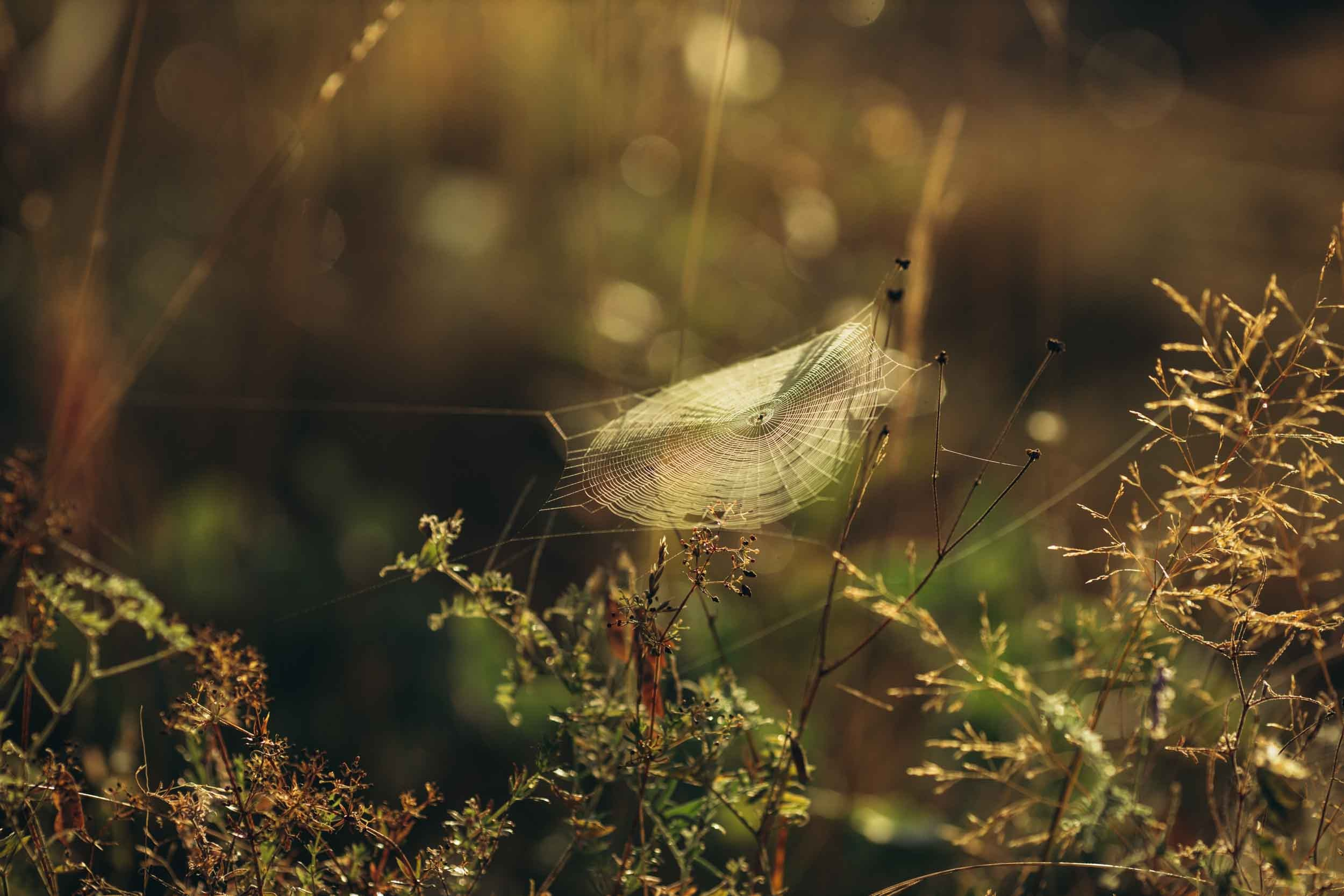 Природные пейзажи. Наталия Клевинскас портретный фотограф в Костроме