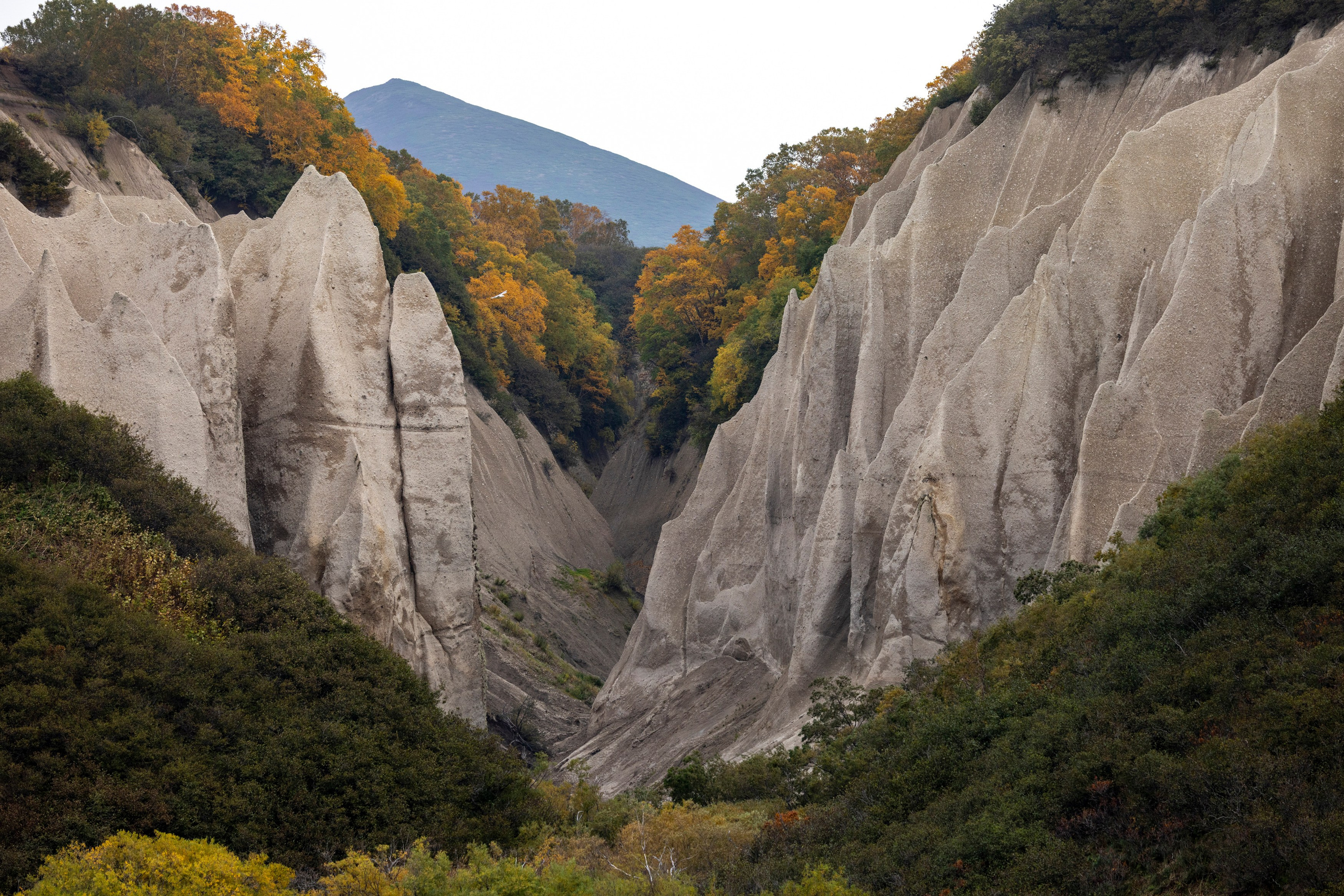 Фототур на Курильское озеро — медведи, нерест лососей и вулканы. Время Камчатки: чтобы найти свой путь, нужно скорость умножить на время