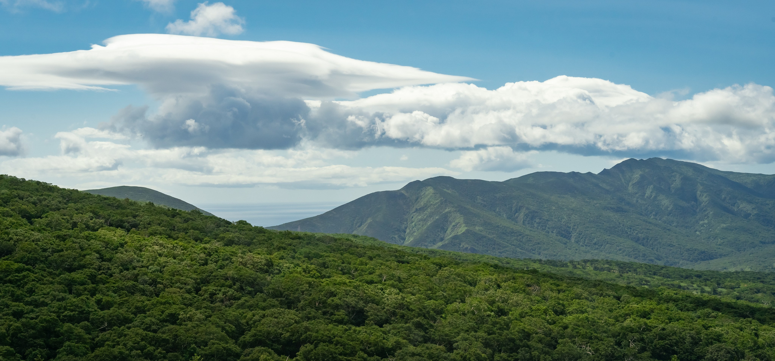 Итуруп. Семейный фотограф Варвара Сорока в городе Москве