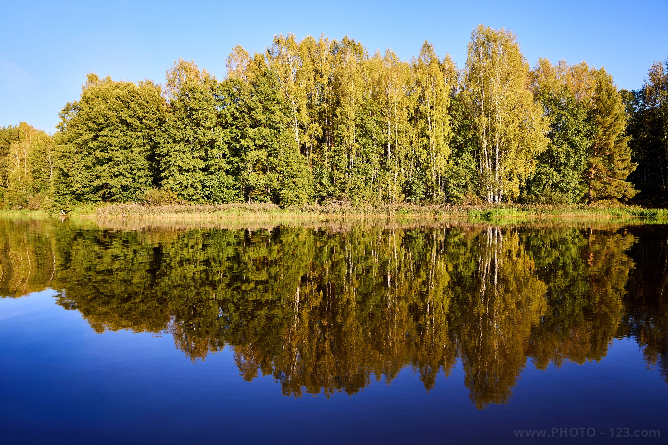 Landscape. Photographer, Retoucher & Graphic Designer @photo123pro