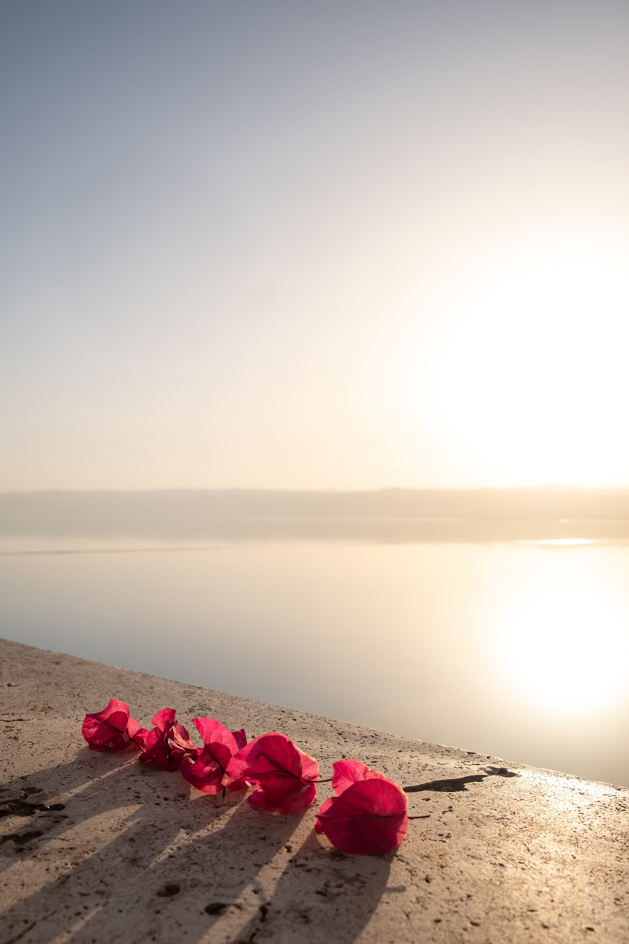 Иордания. Портретный фотограф в Москве Гульнара Миннуллина