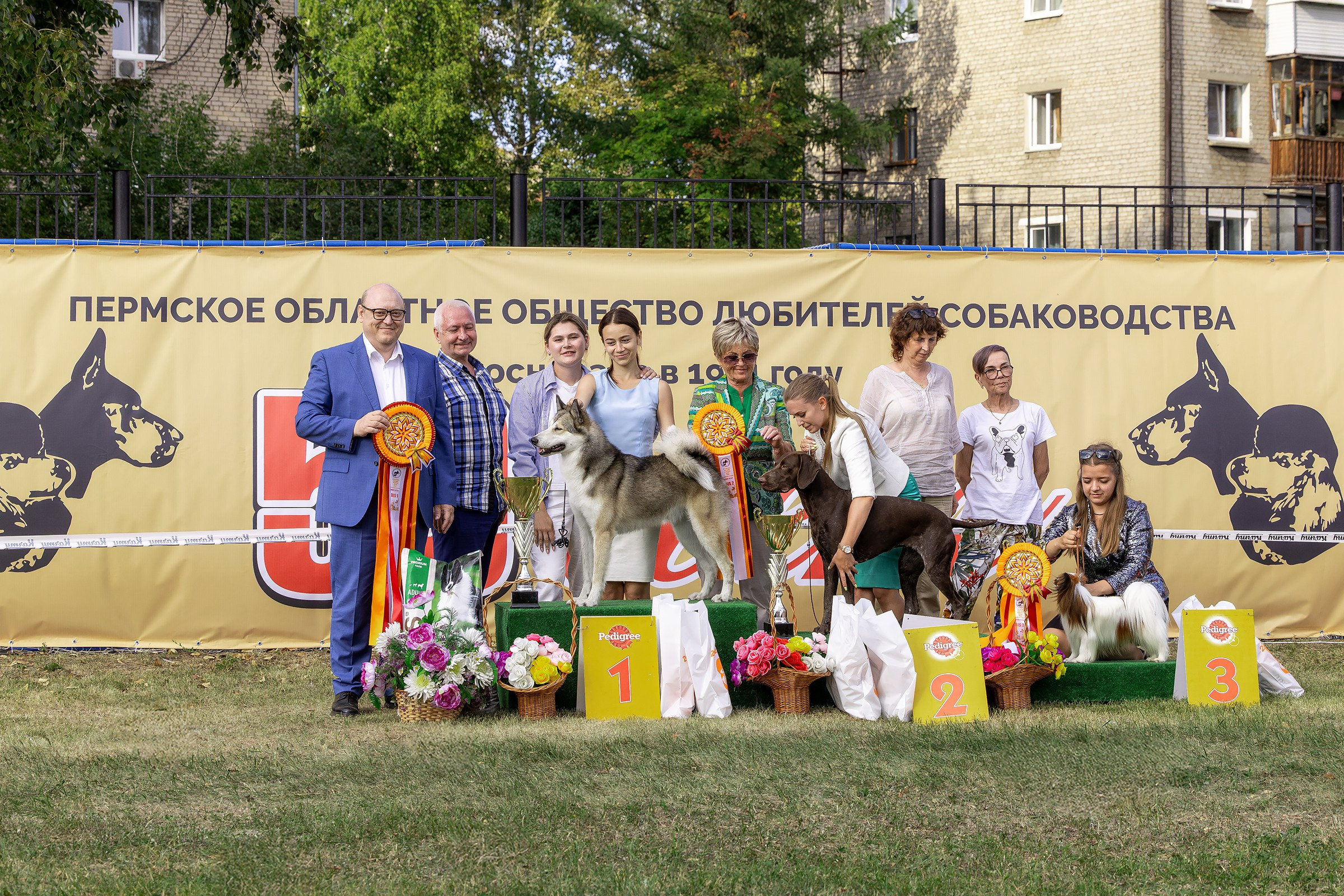 2–3 августа 2025, Выставка РКФ, г. Пермь. Htykk_photo