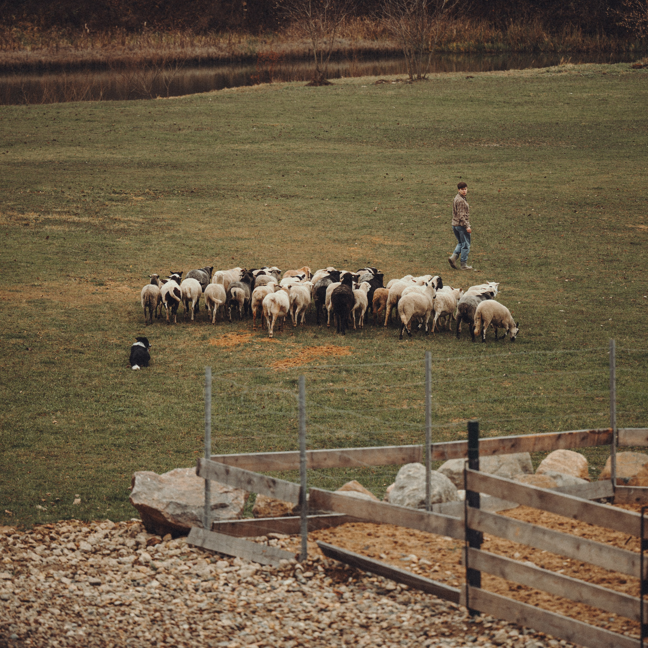 Настя и Рэги на ферме. Семейный фотограф анималист Ананьева Мария — Москва