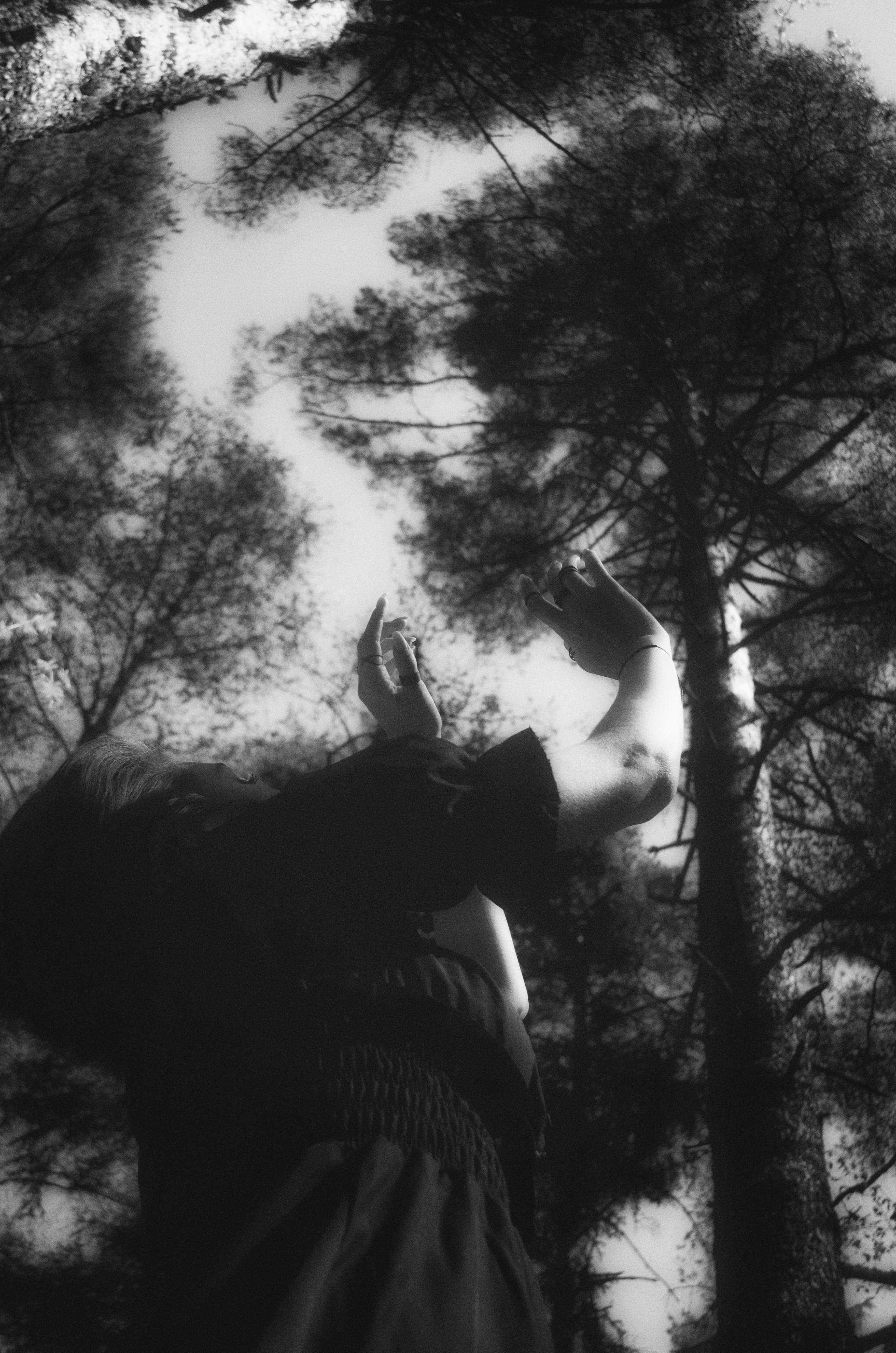 Индивидуальные съёмки. Wirinsens