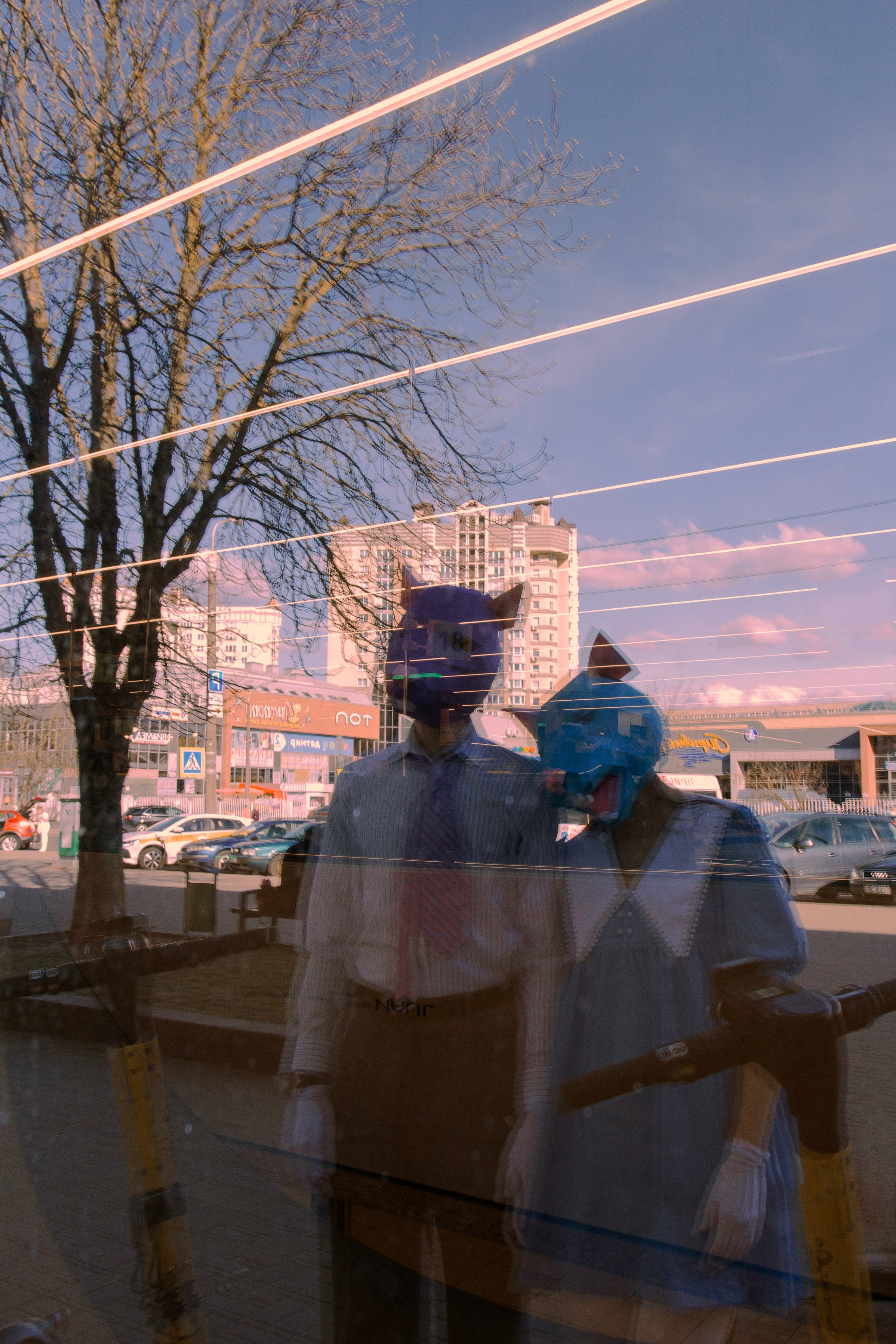 Красивая крысиная любовь