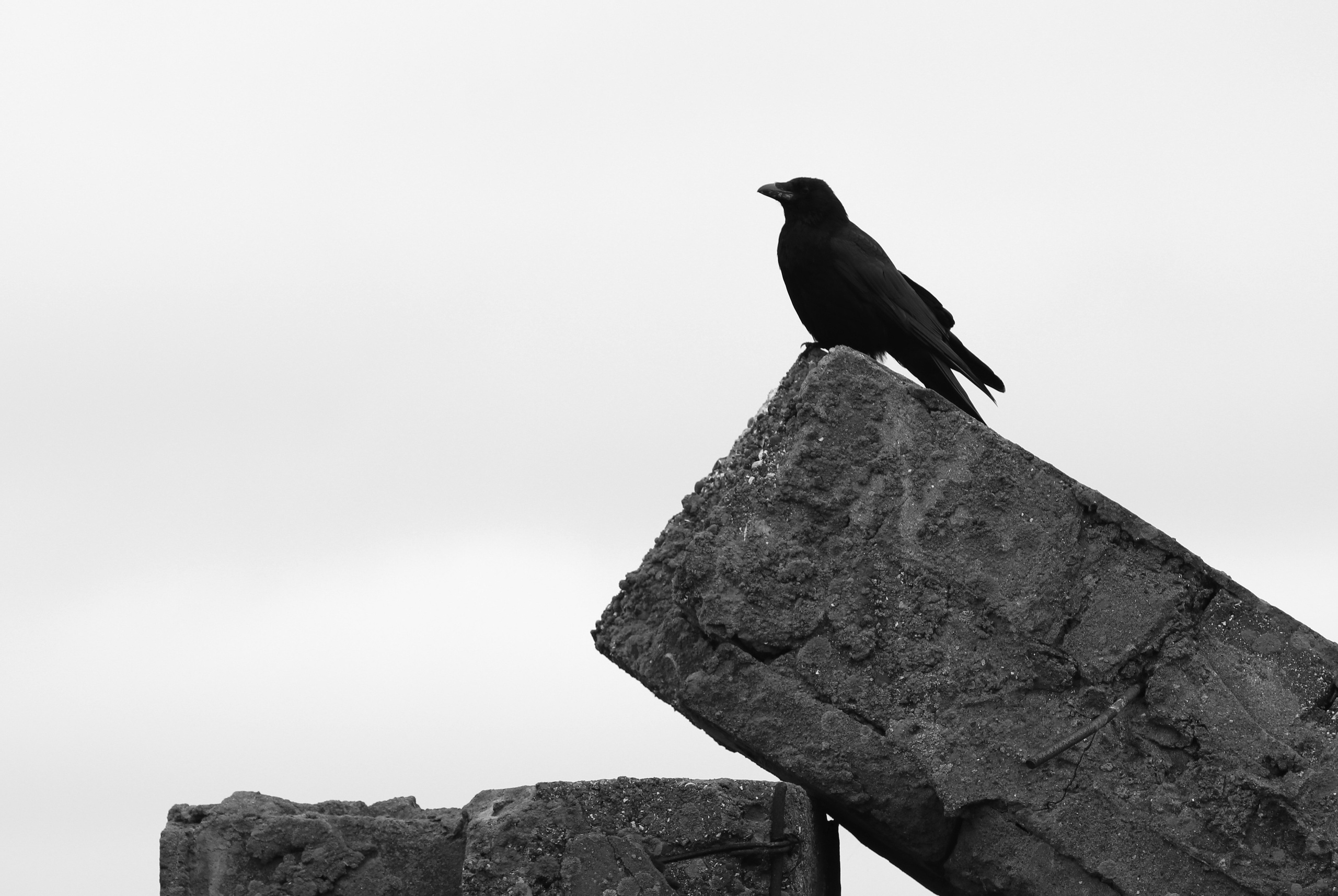 Камчатка и о. Парамушир. Июль 2024. Путешественник-фотограф из Санкт-Петербурга Татьяна Свистулина