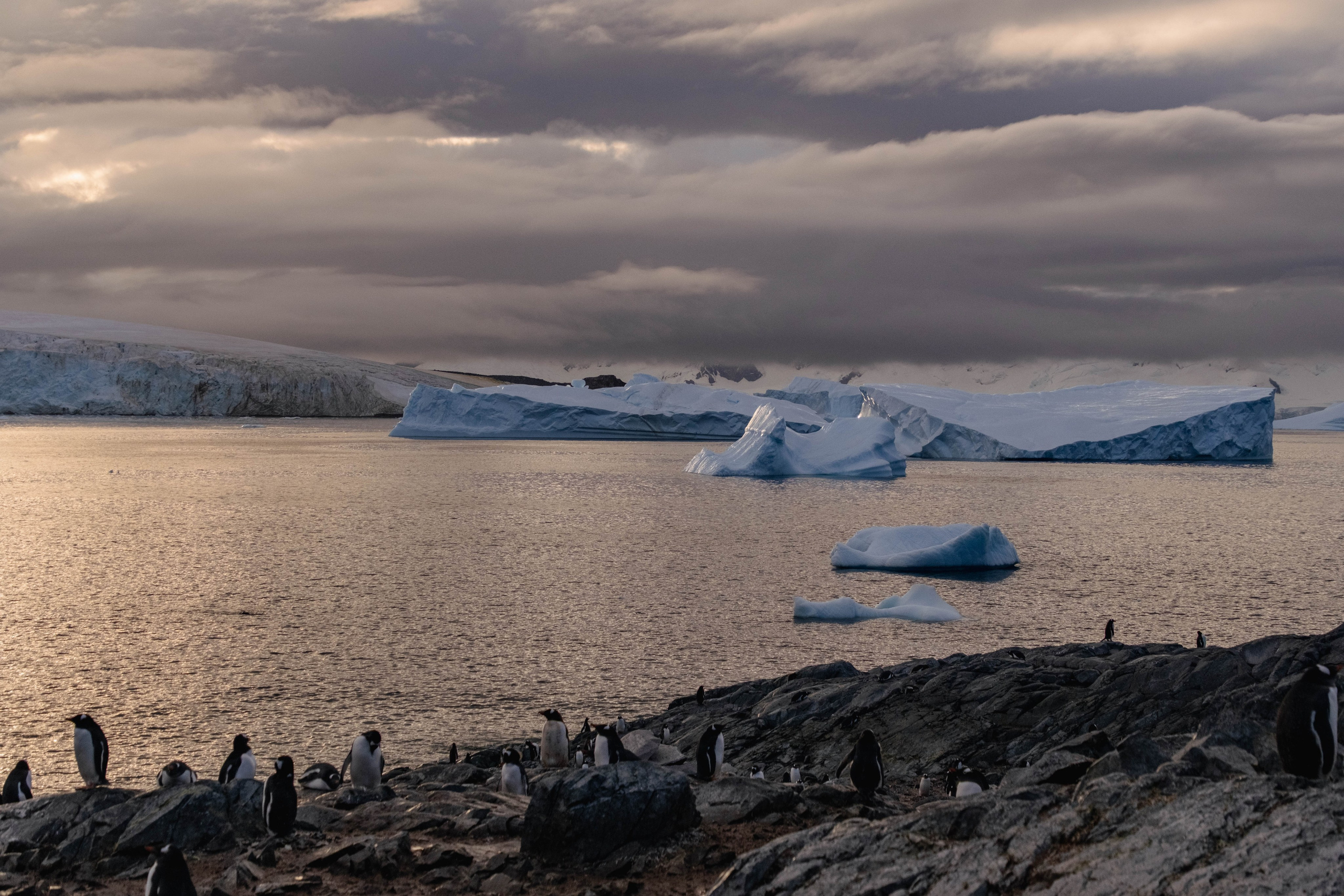 Материк и льды. Фотографии из путешествий