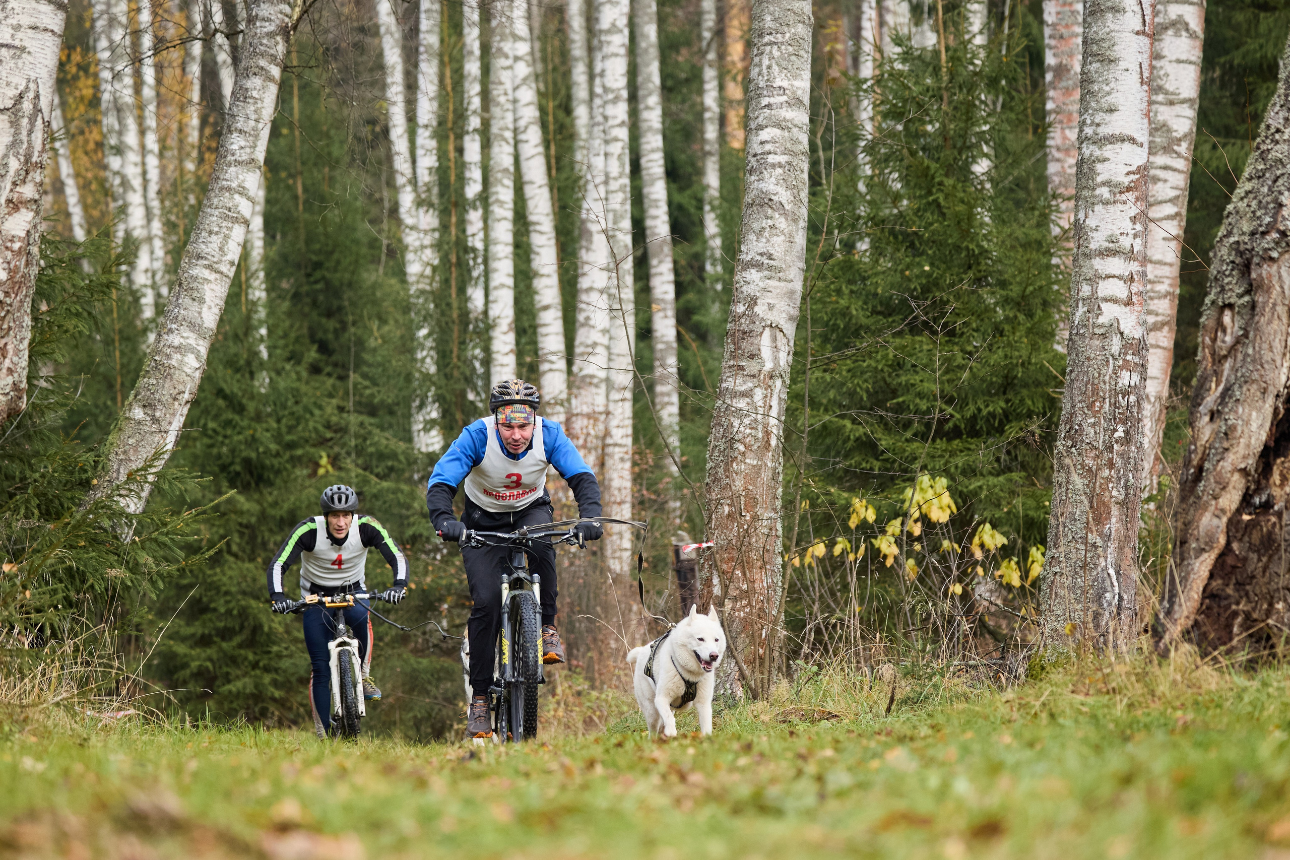 Чемпионат по ЕС Ярославской области. Фотограф Ирина Астор