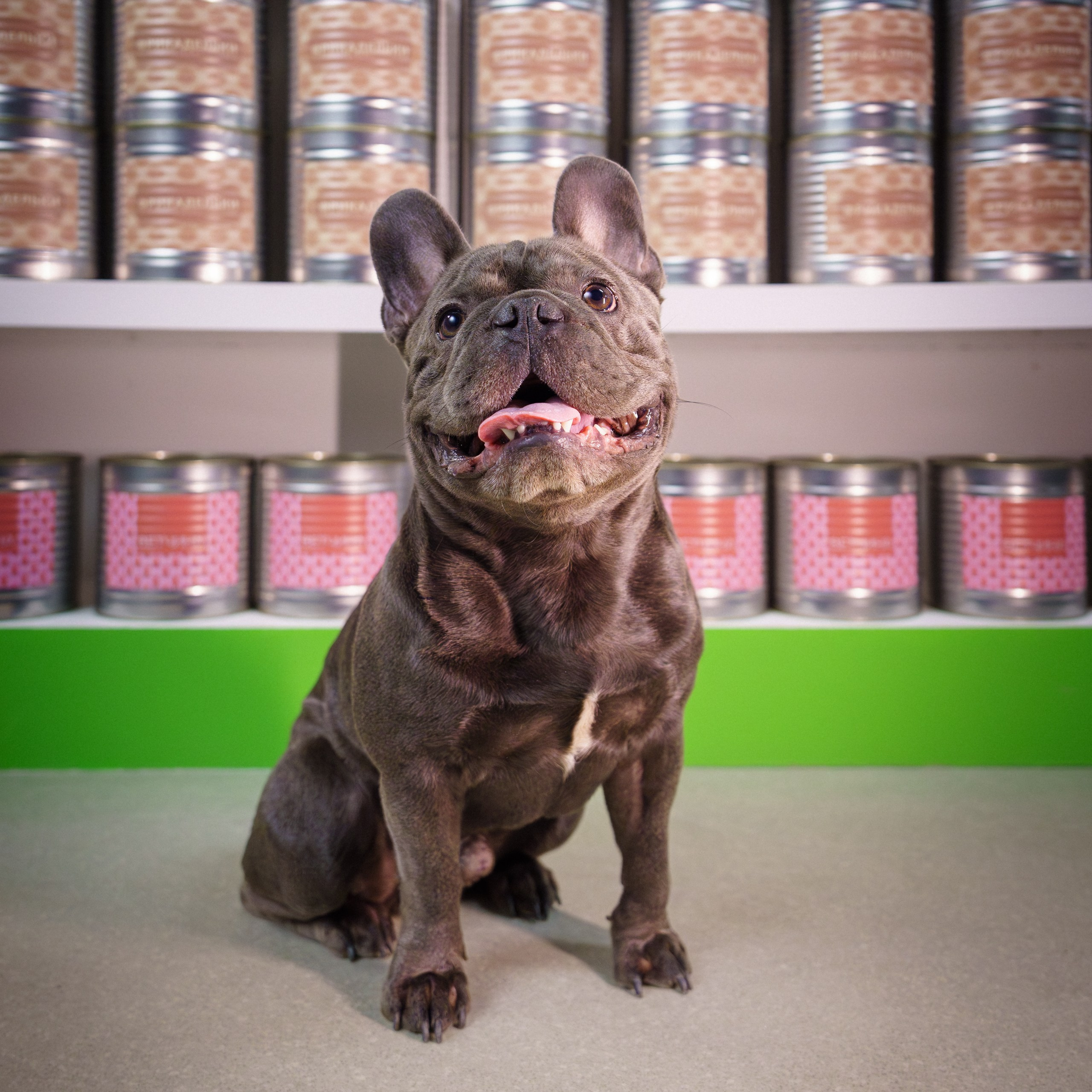 Сбер спасибо