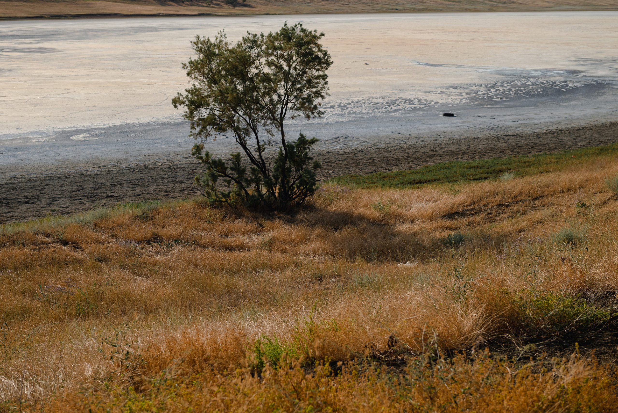 Vip personal photo tour Tbilisi. Lika Gomiashvili photography Georgia Tbilisi