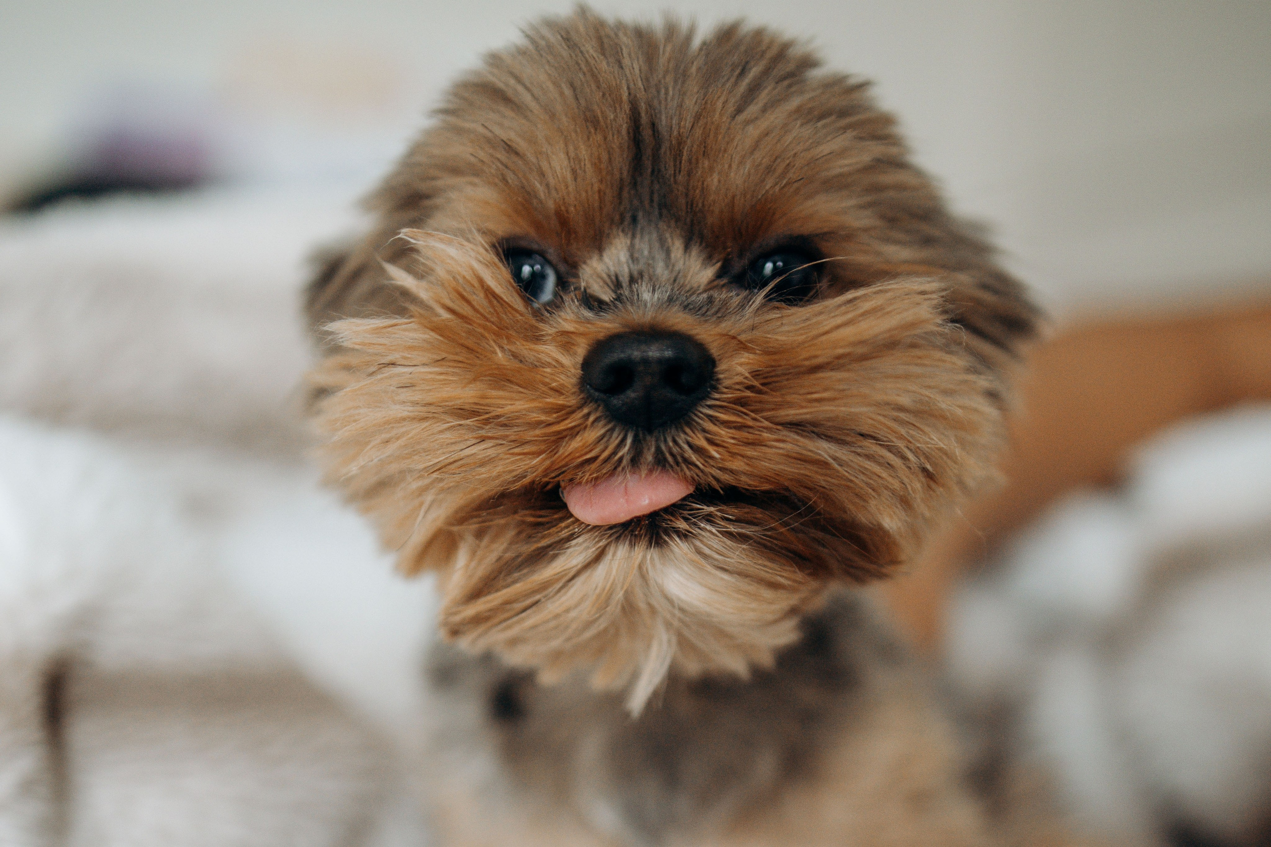 Настя и Йося