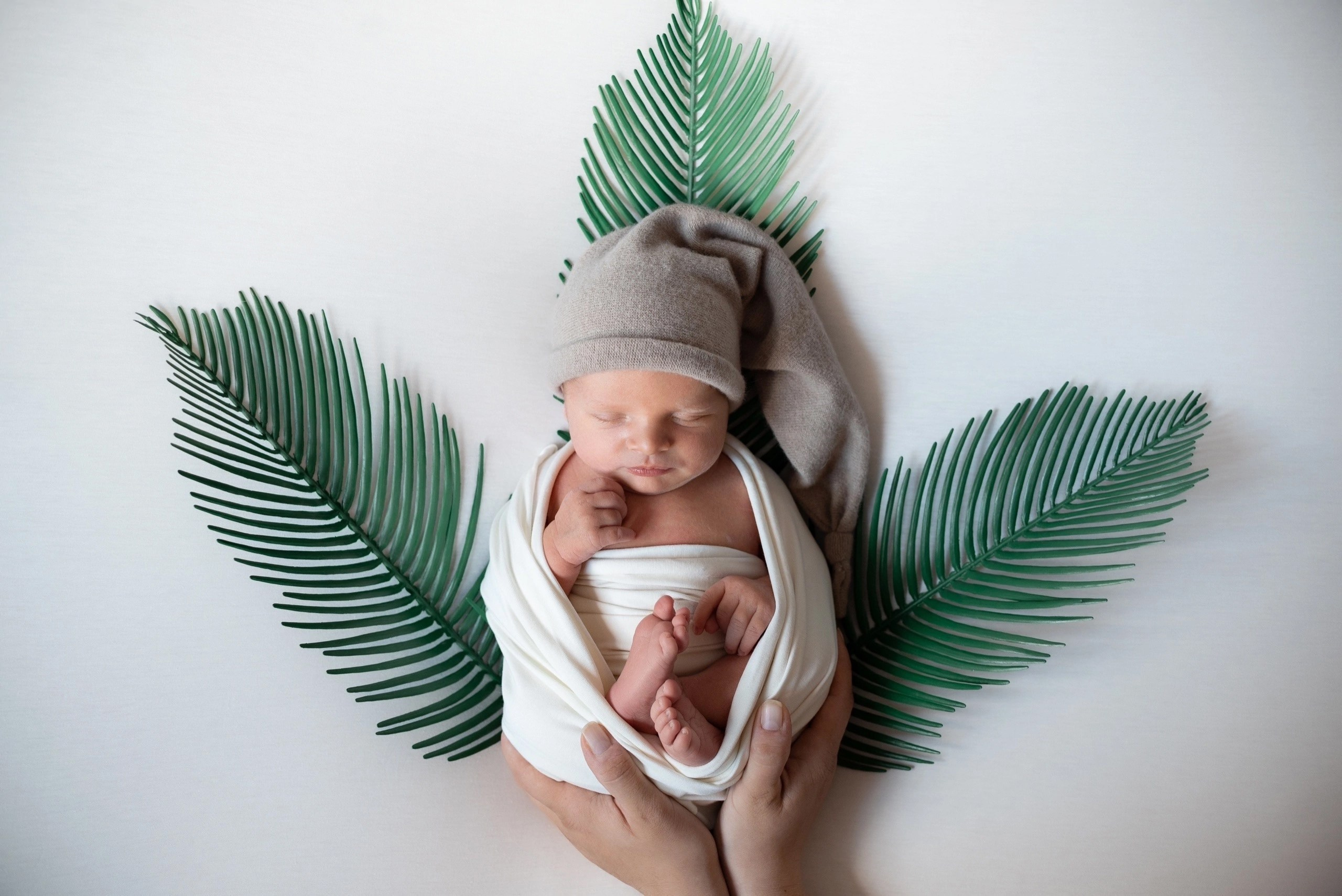 Newborn Мария. Фотостудия для новорожденных и малышей в Твери — На ручки