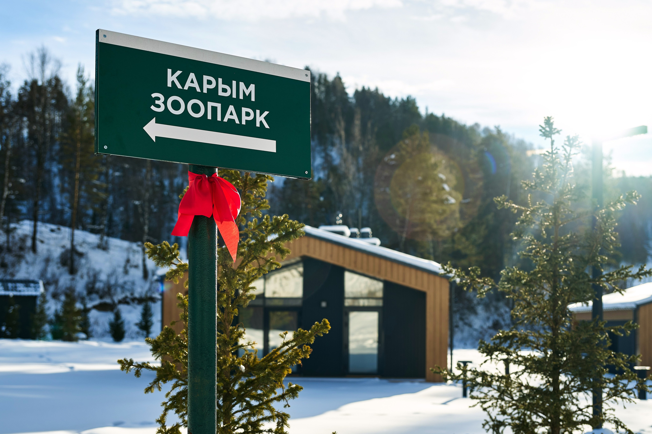 Карым зима. Фотограф Опыт Качество Скорость Горный Алтай Барнаул