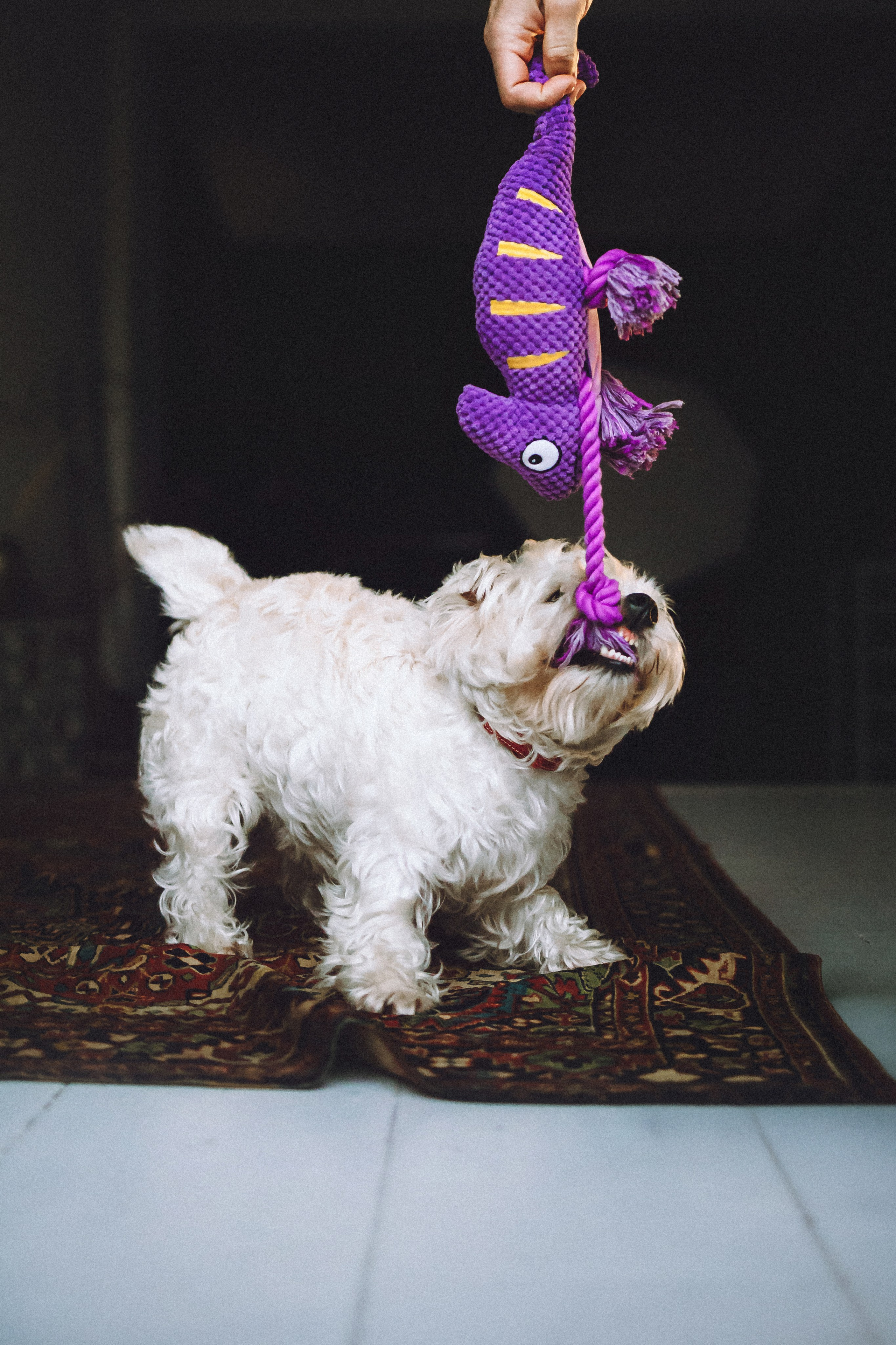 Вика, Глеб и Тори