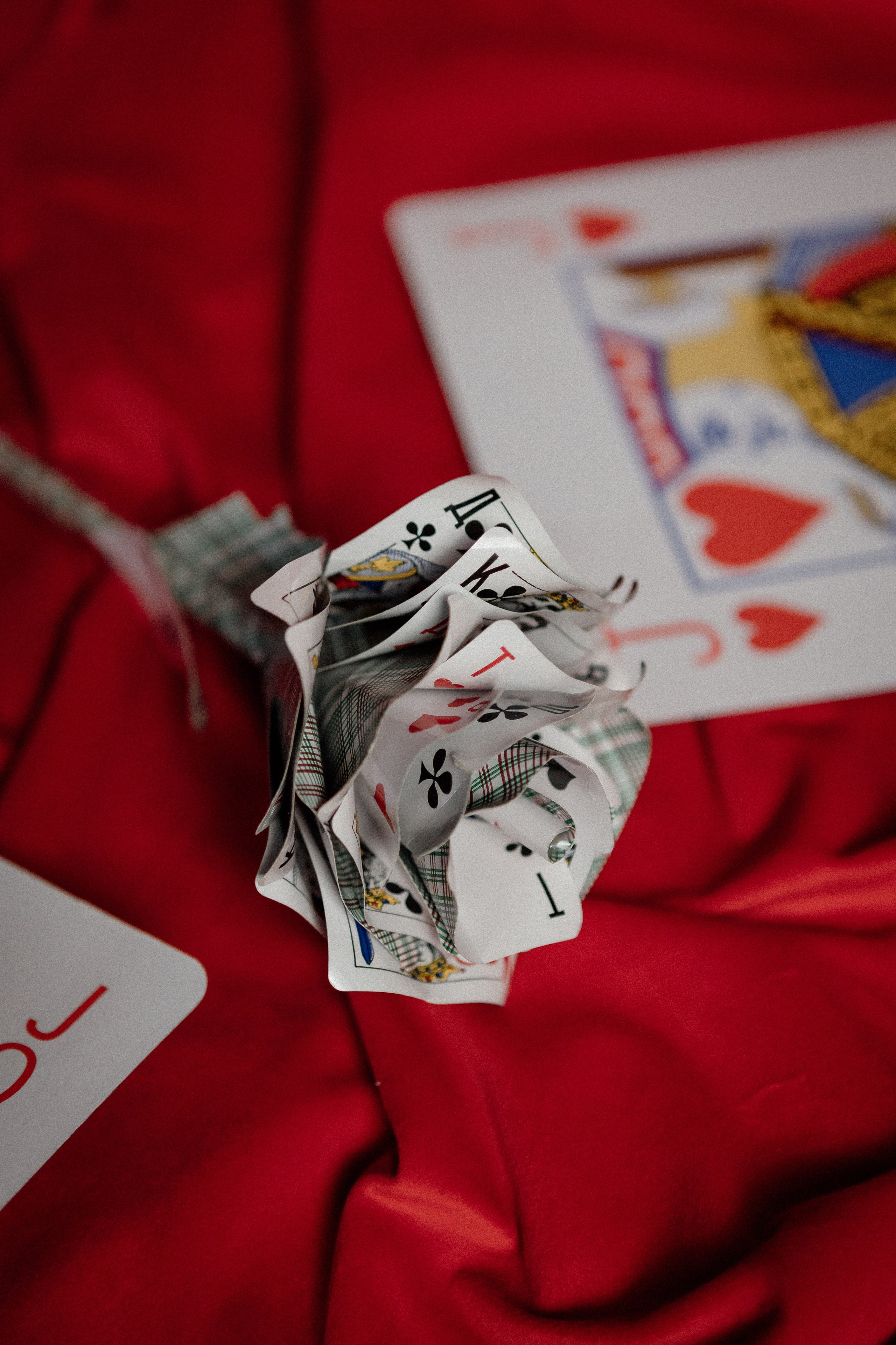 Красная королева. Фотограф Калуга