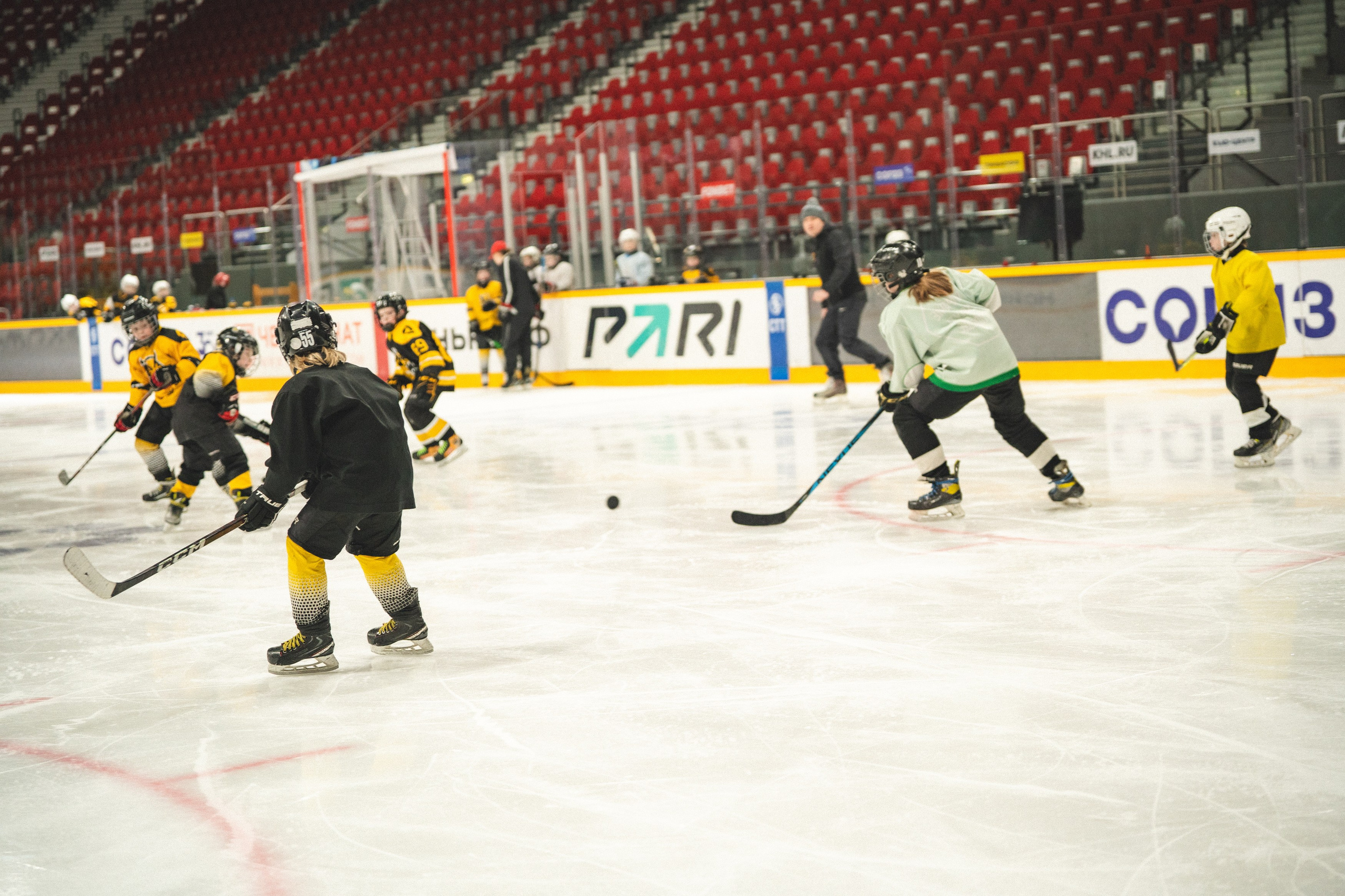 ХК Северсталь (младшая группа). Череповец. Zekons. Фото, видео, нейросети