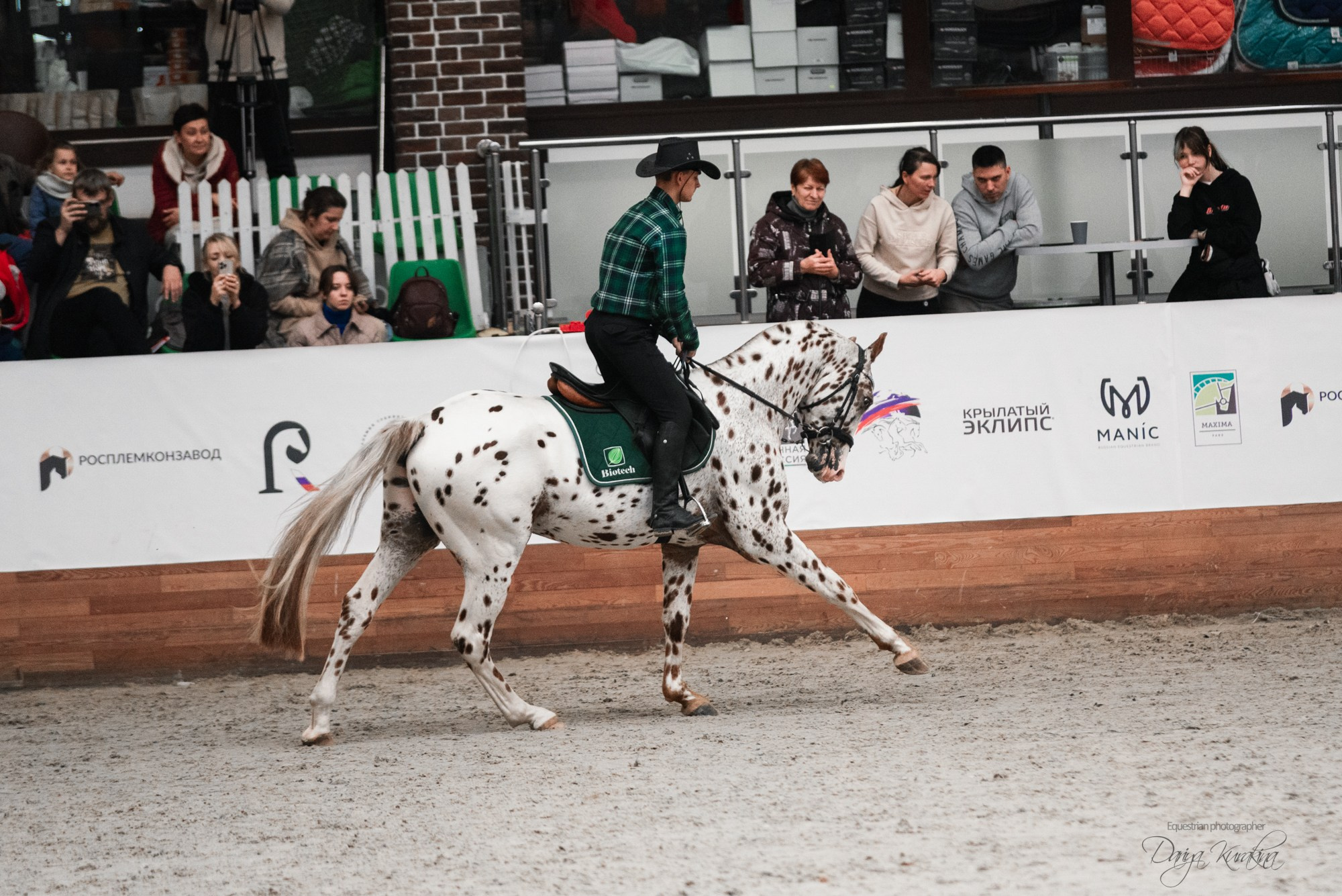 8-я международная выставка Конная Россия. Конный фотограф Куракина Дарья • Фотосессии с лошадьми