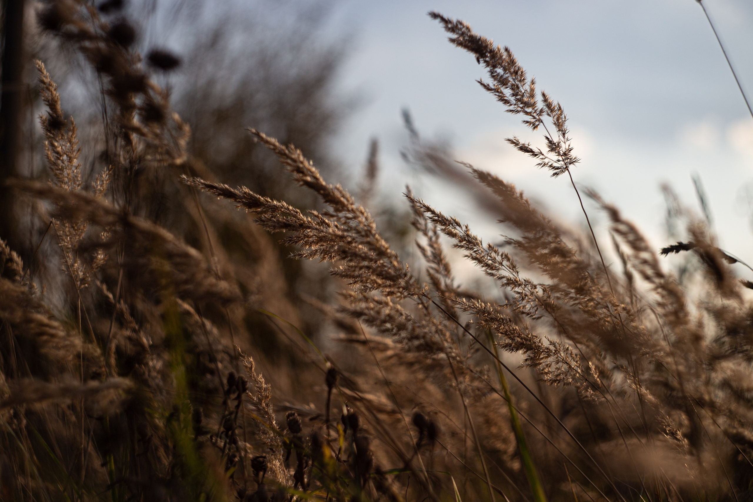 Сентябрь 2023. Efremovaphoto.ru