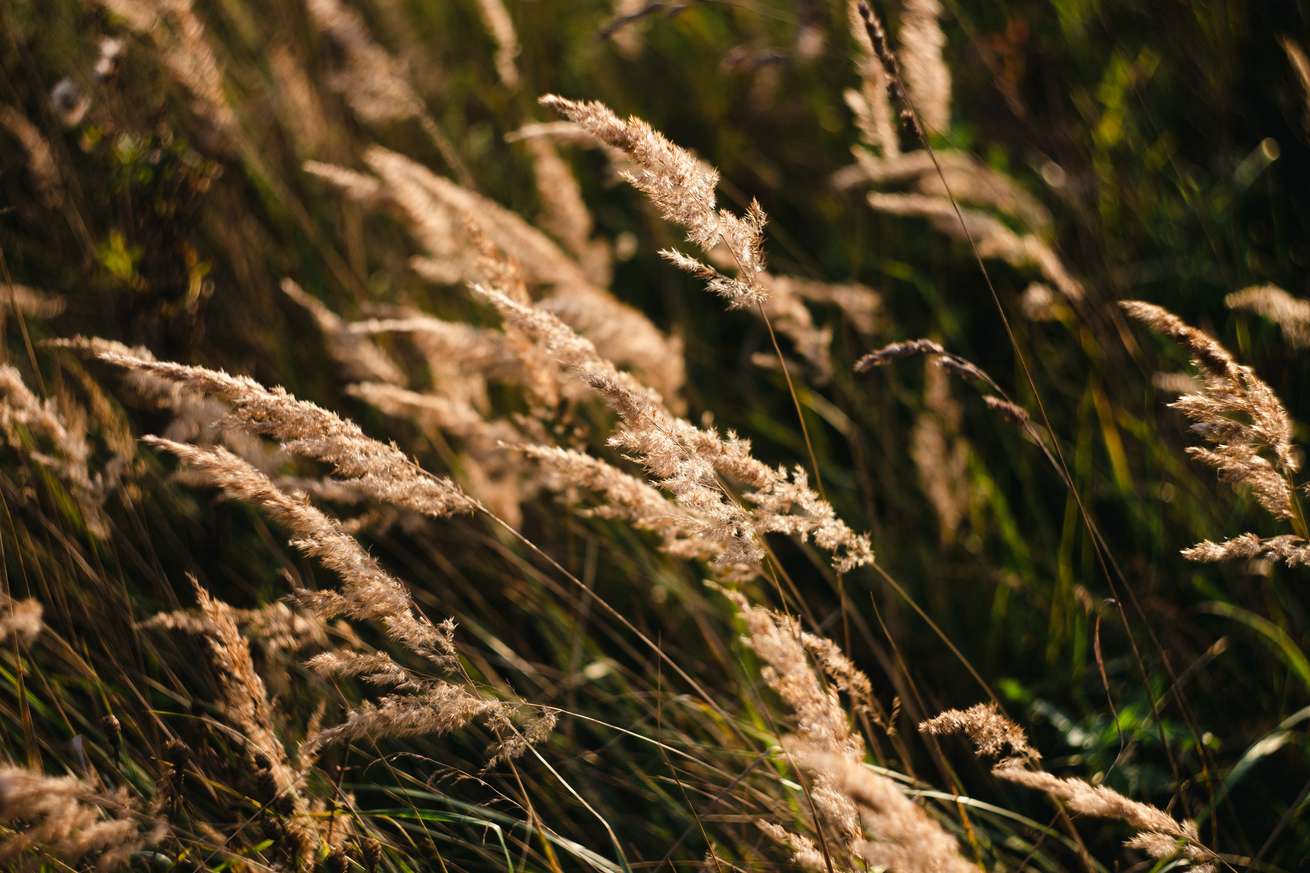 Сентябрь 2023. Efremovaphoto.ru