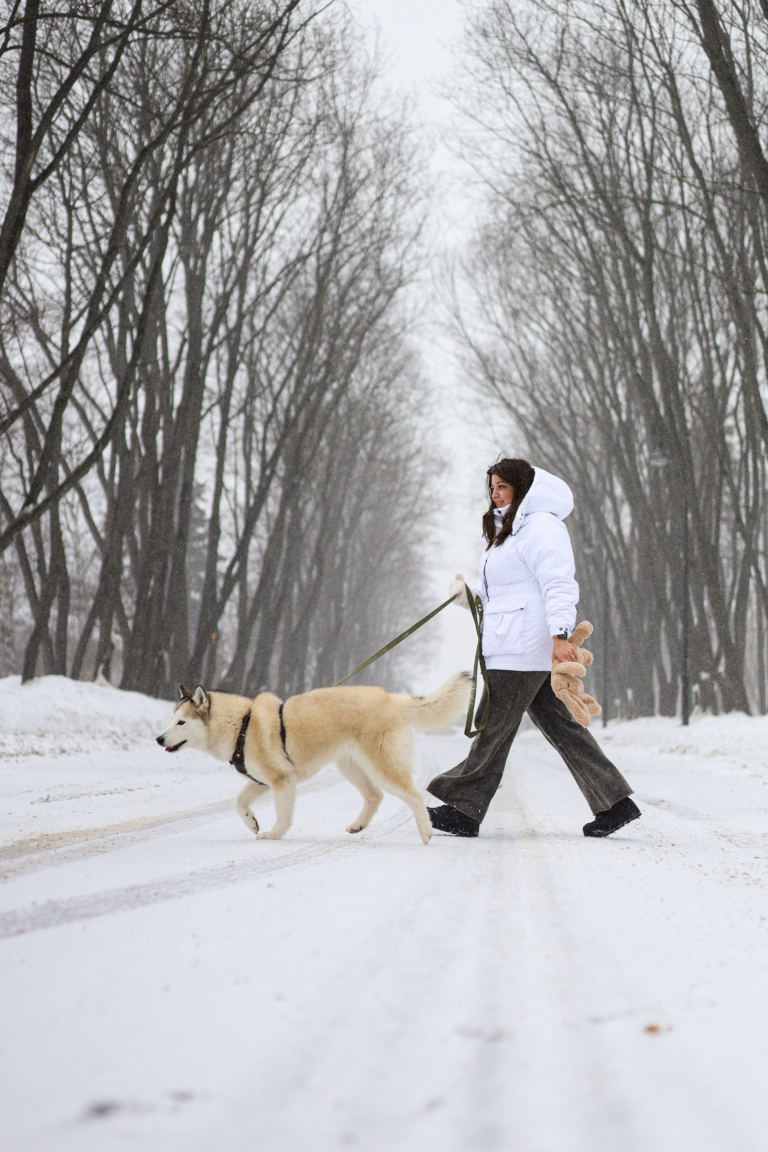 Мила, Лиза и Матвей. Фотограф-анималист Ксения Шевцова|Москва