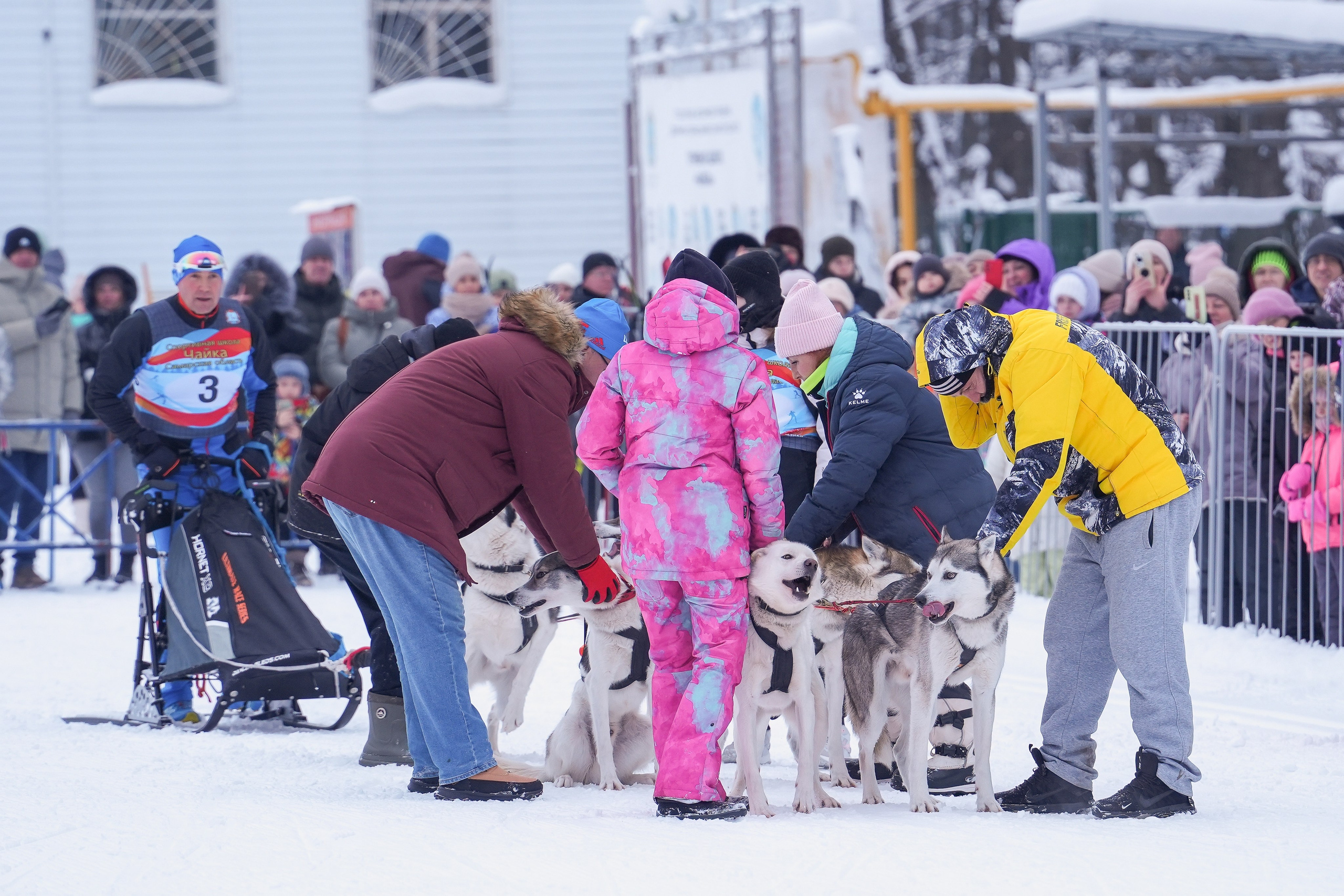 Рождественские гонки на собаках. Т/б «Чайка». Семейный фотограф Владимир Просвиркин. г. Самара