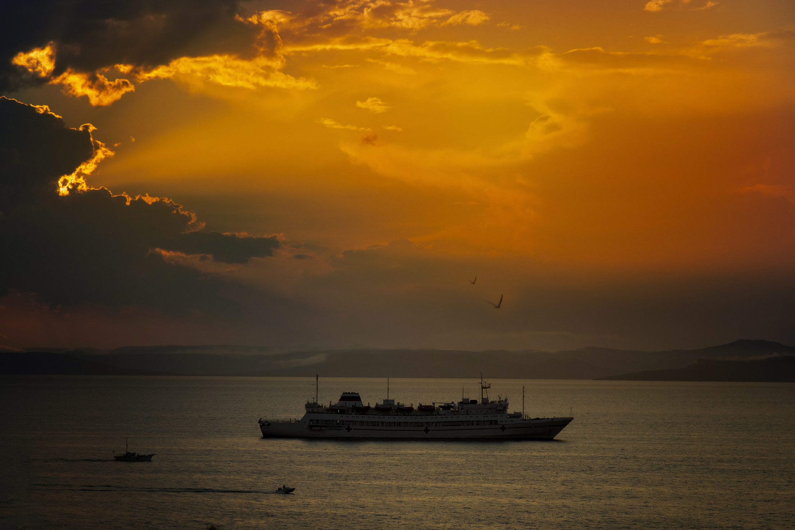 Отзывы. Семейный и детский фотограф Светлана Котик Спасск-Дальний, Владивосток, Приморский край