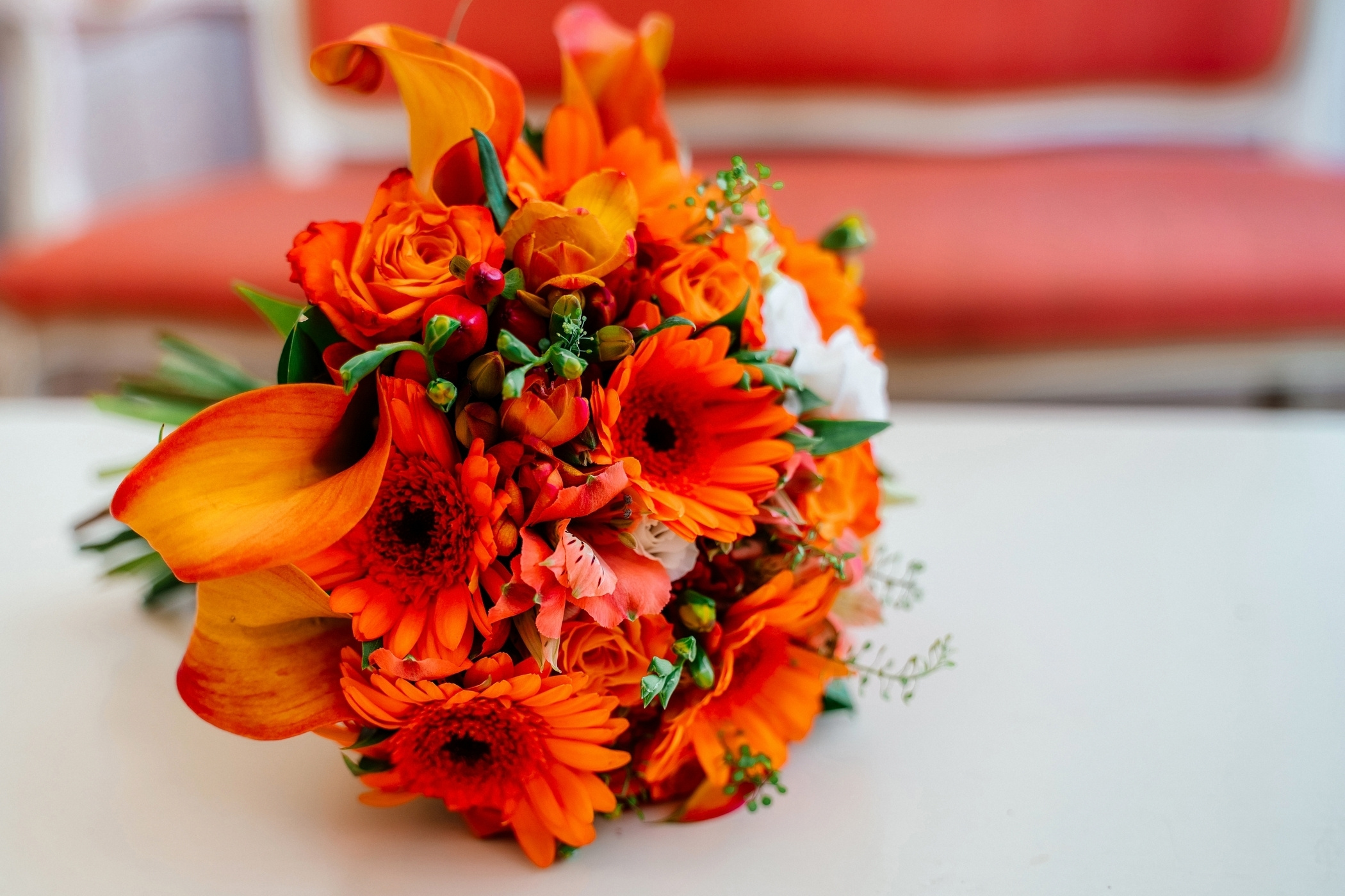 Сергей и Екатерина. Фотограф беременных в СПб — Елена Александрова