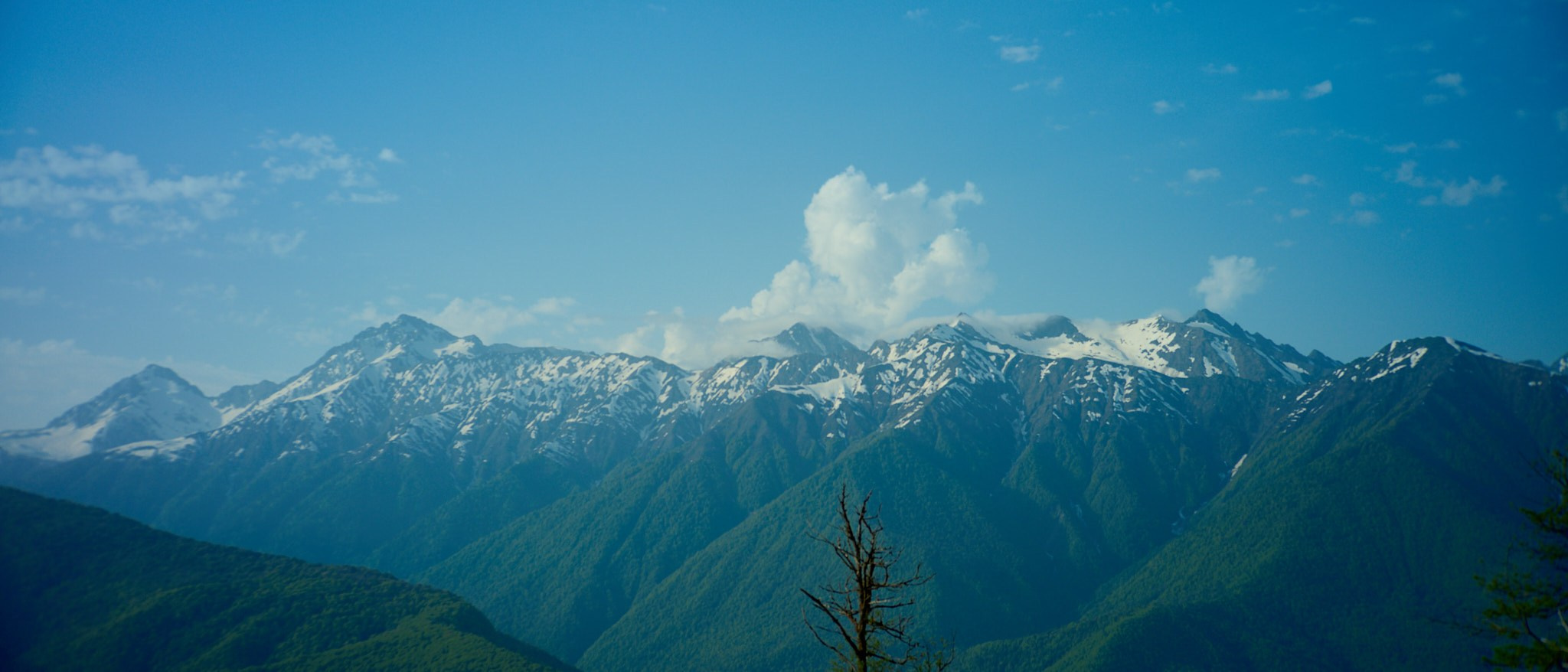 Красная Поляна, апрель 2024. Фотограф, Римма Невинская