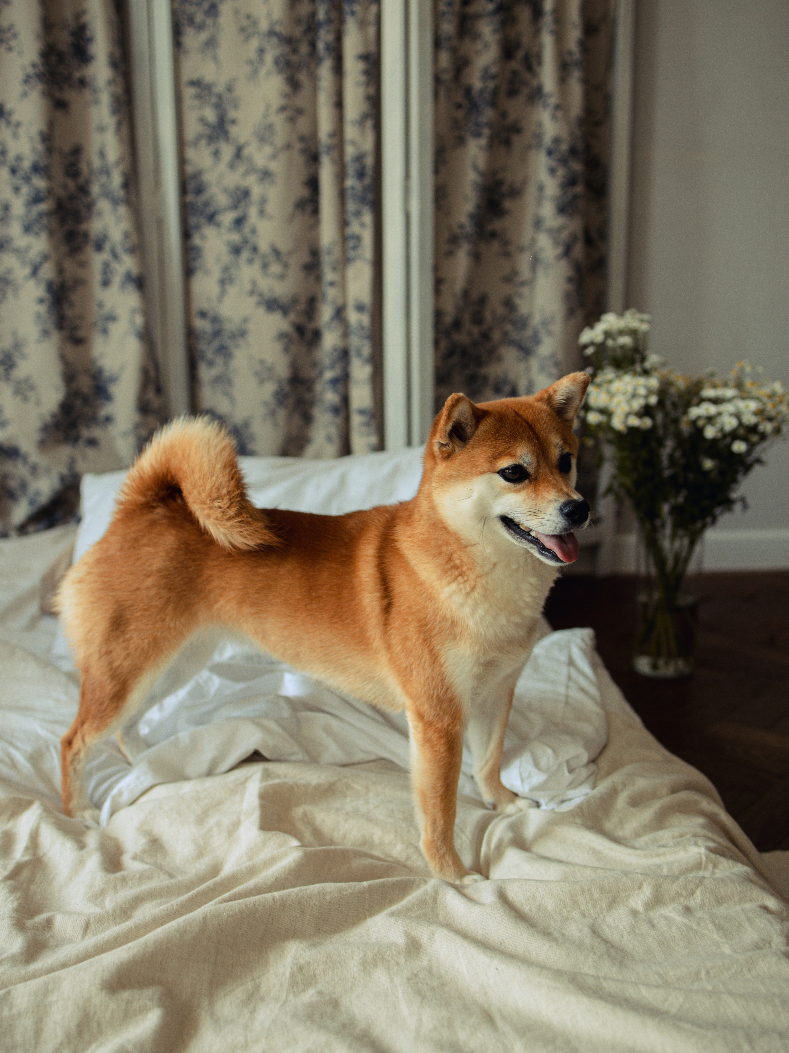 Летняя любовь. Фотограф СПБ Засорина Юлия