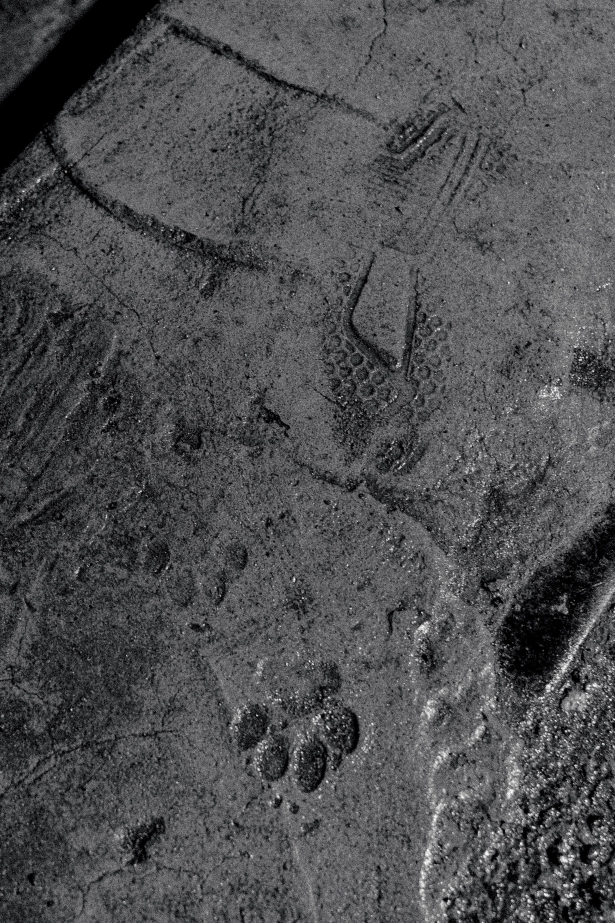 Город Н. Предание о руинах: АРХИВ ПУСТОТЫ