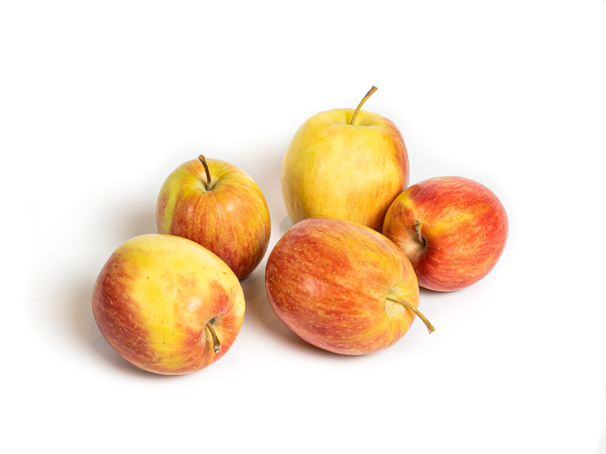 Яндекс Маркет. Предметный и фуд-фотограф в Москве Анна Царенко