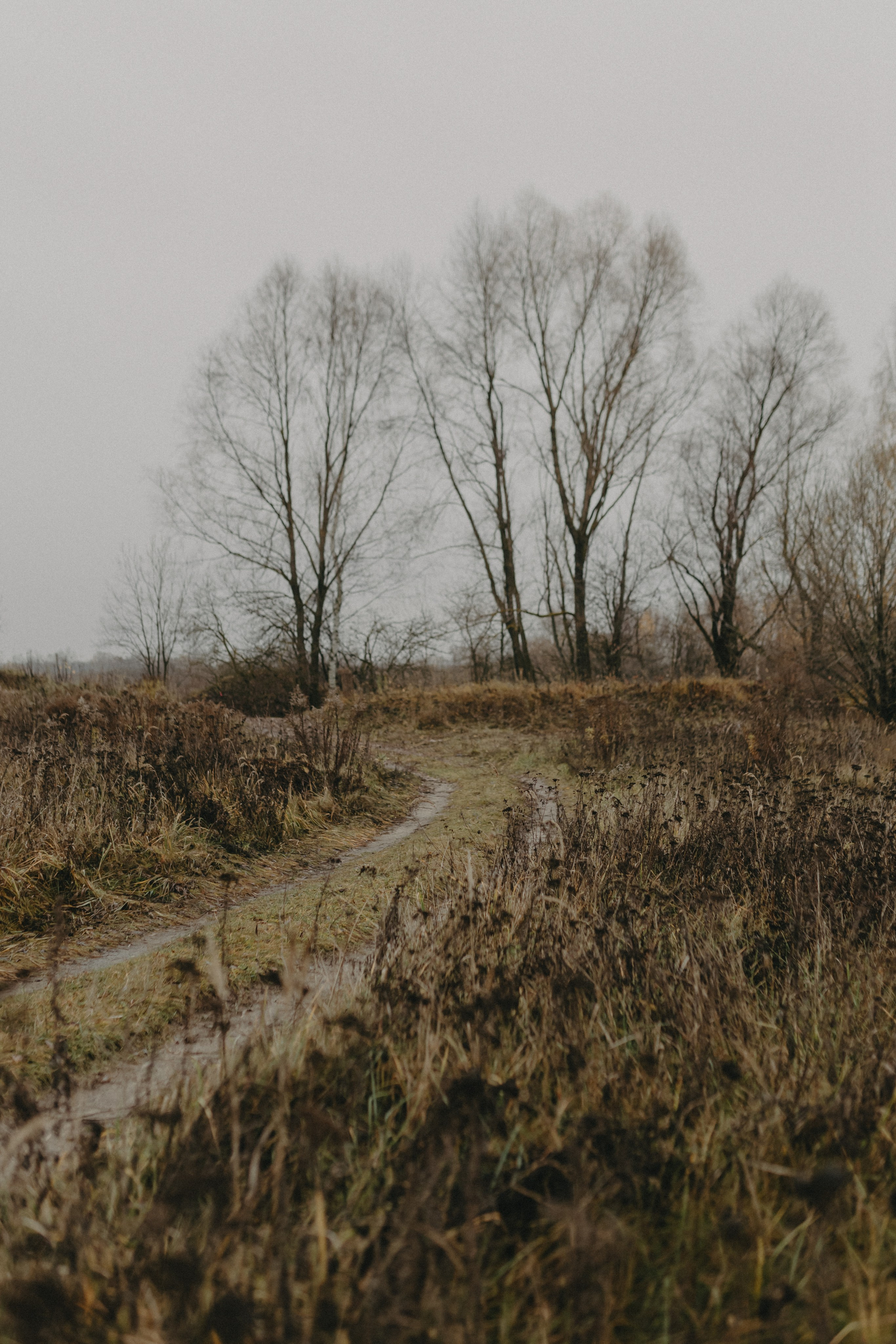 Диана и Антон. Свадебный и семейный фотограф Женя Добрянская в Нижнем Новгороде