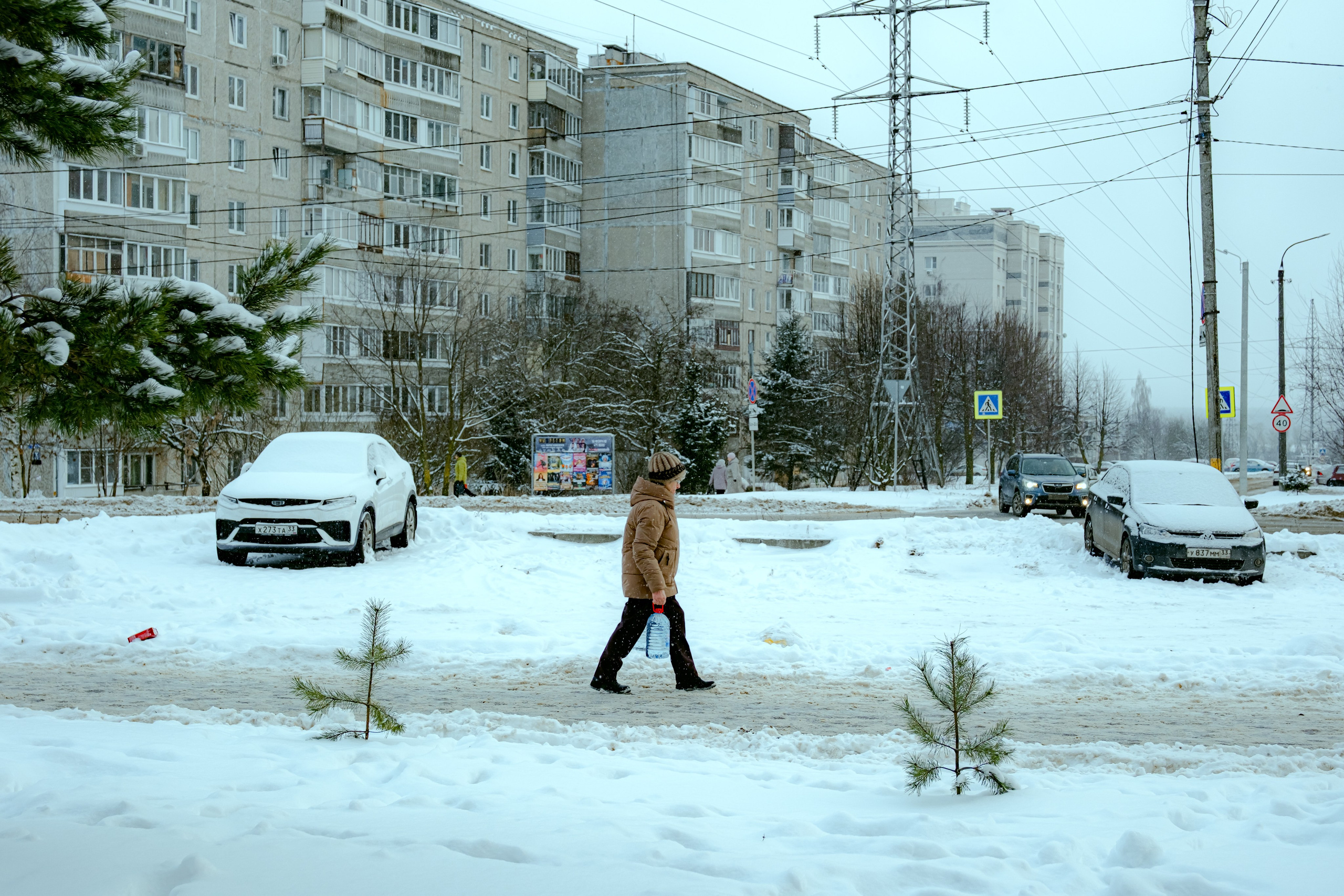 Владимир. Аотограф Екатерина Лапина
