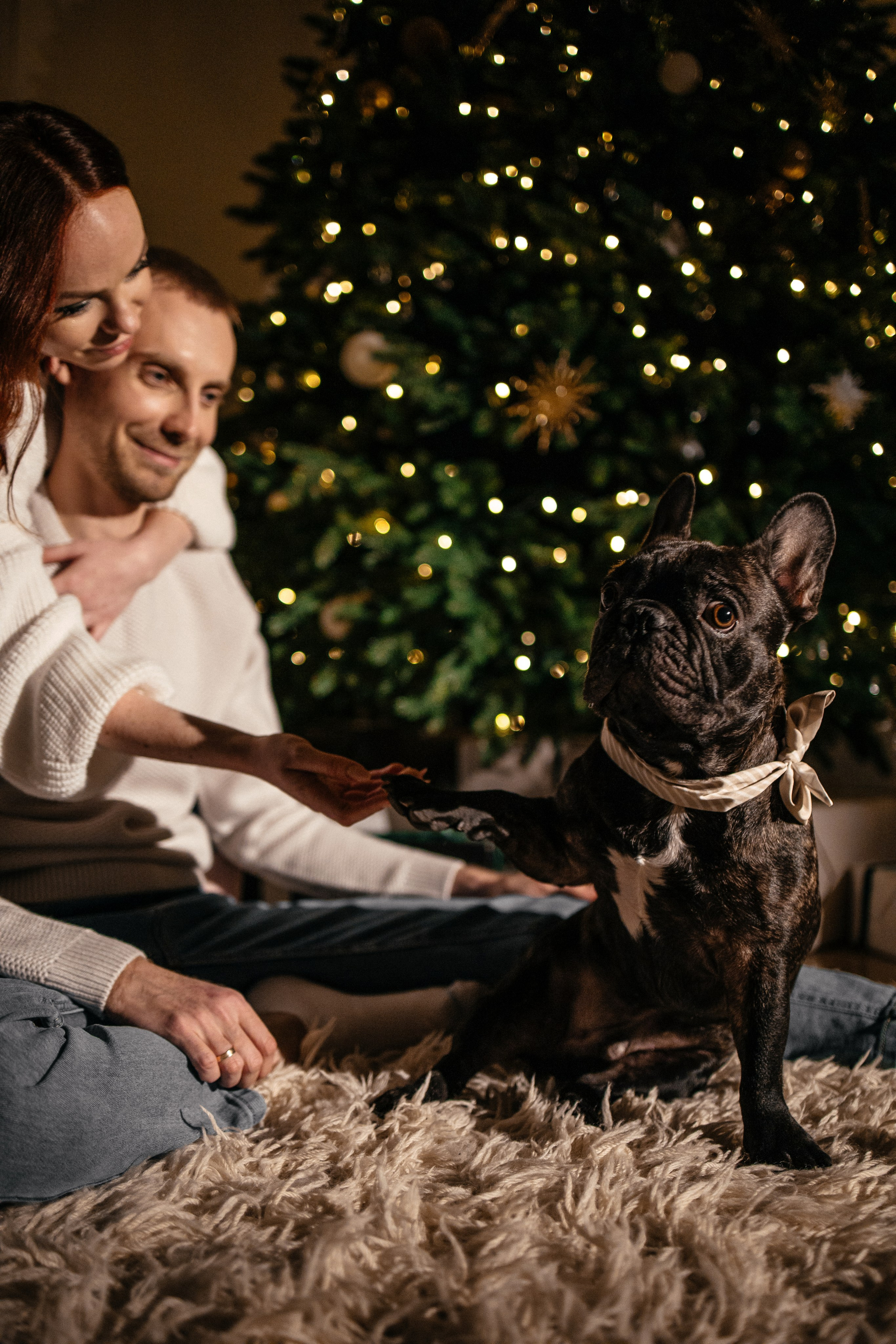 Семейная НГ. Фотограф в Краснодаре Лагунов Владимир