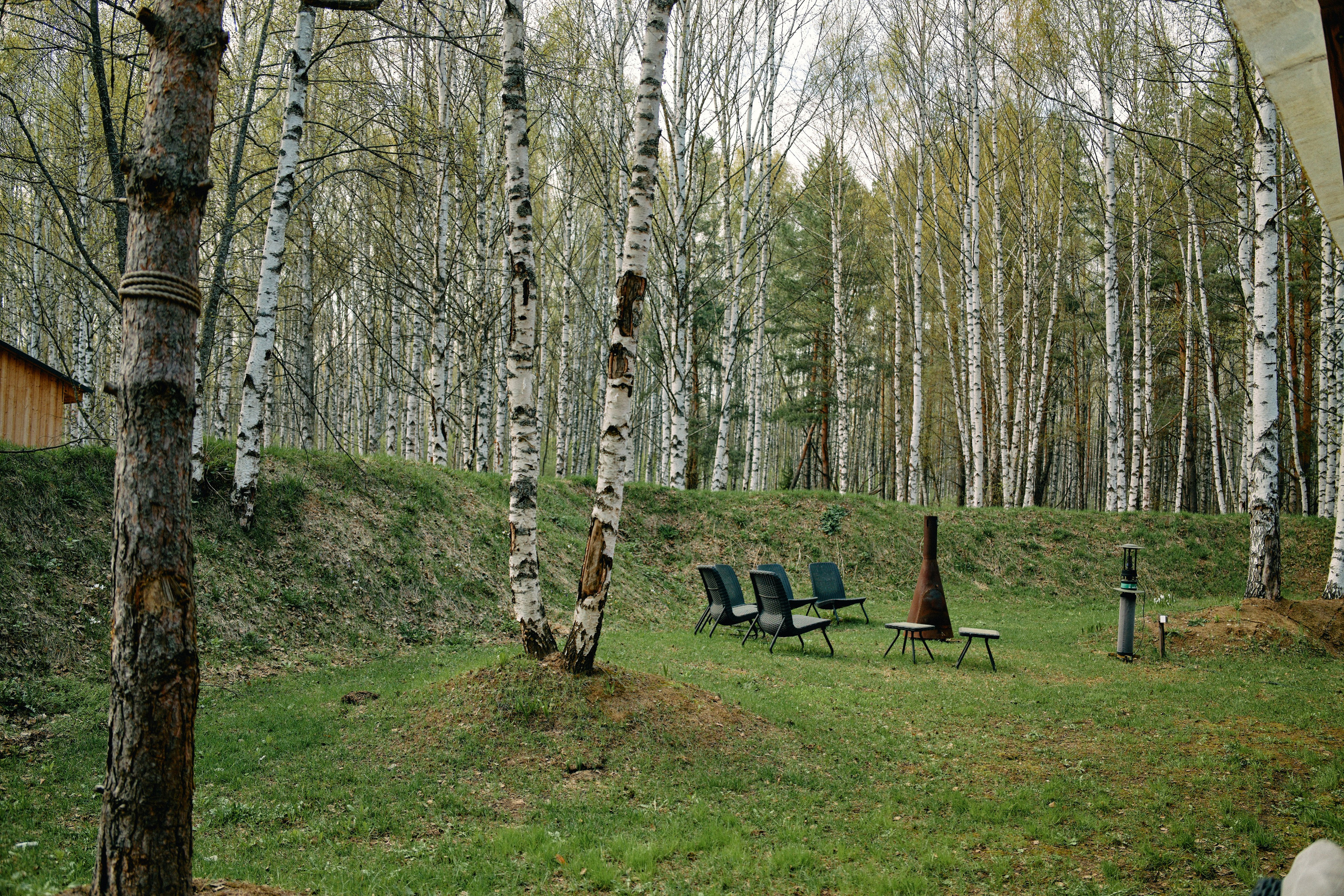 Бутик-отель Поле летом. Профессиональный Фотограф во Владимире, в Москве и в Суздале — Полина Романычева