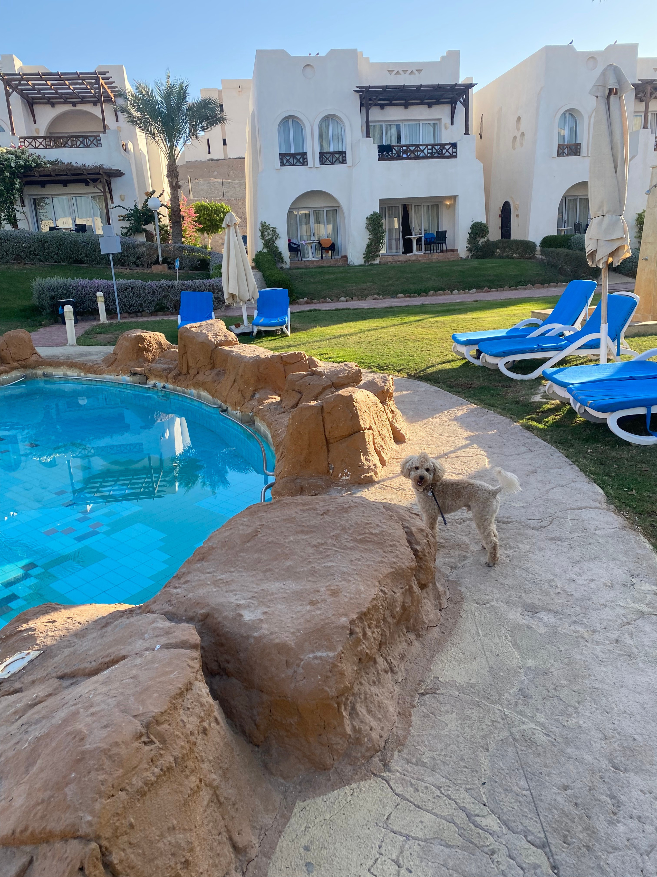 Египет — 21. Своя Мастерская