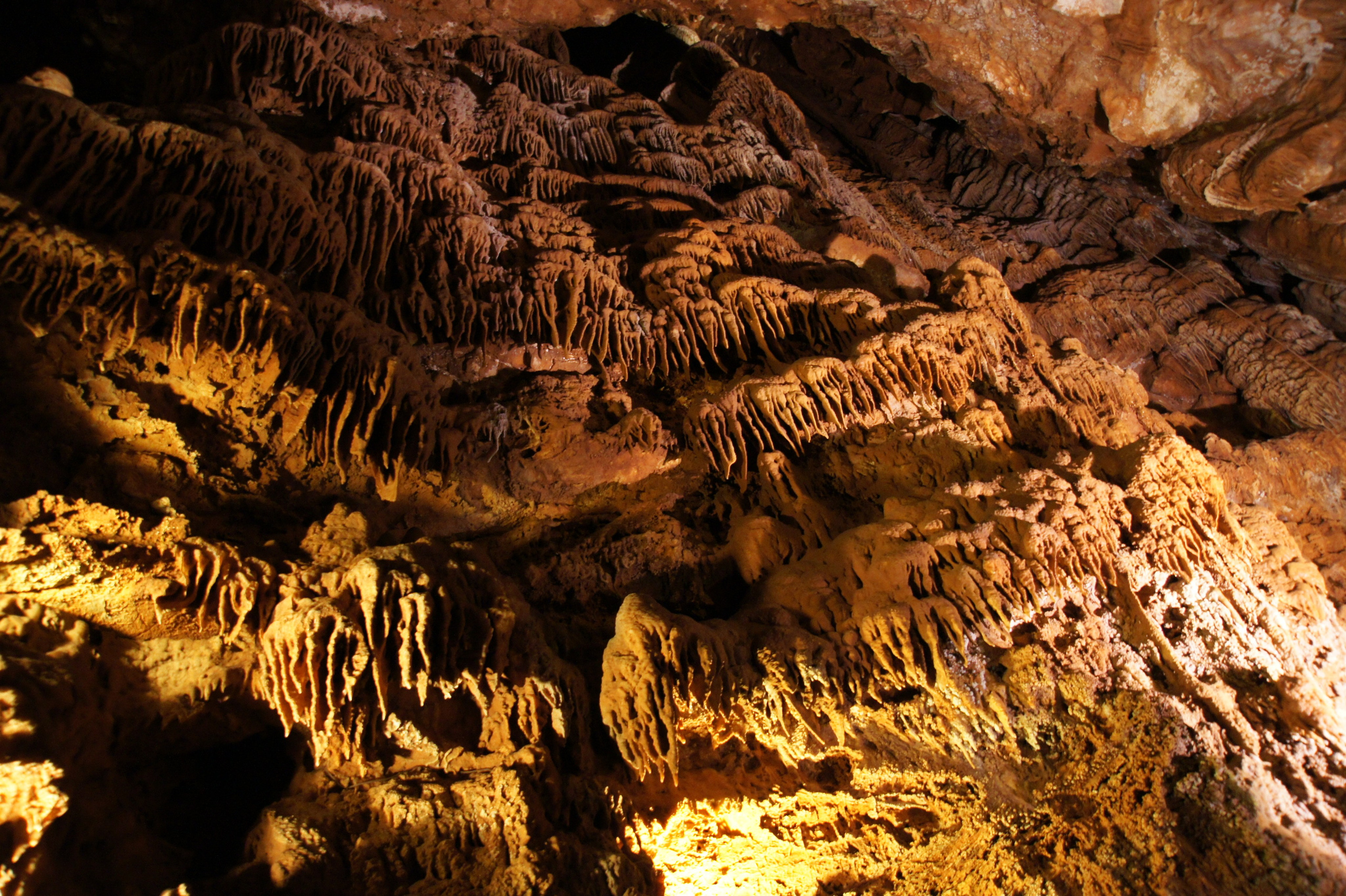 Хорватия. Главная