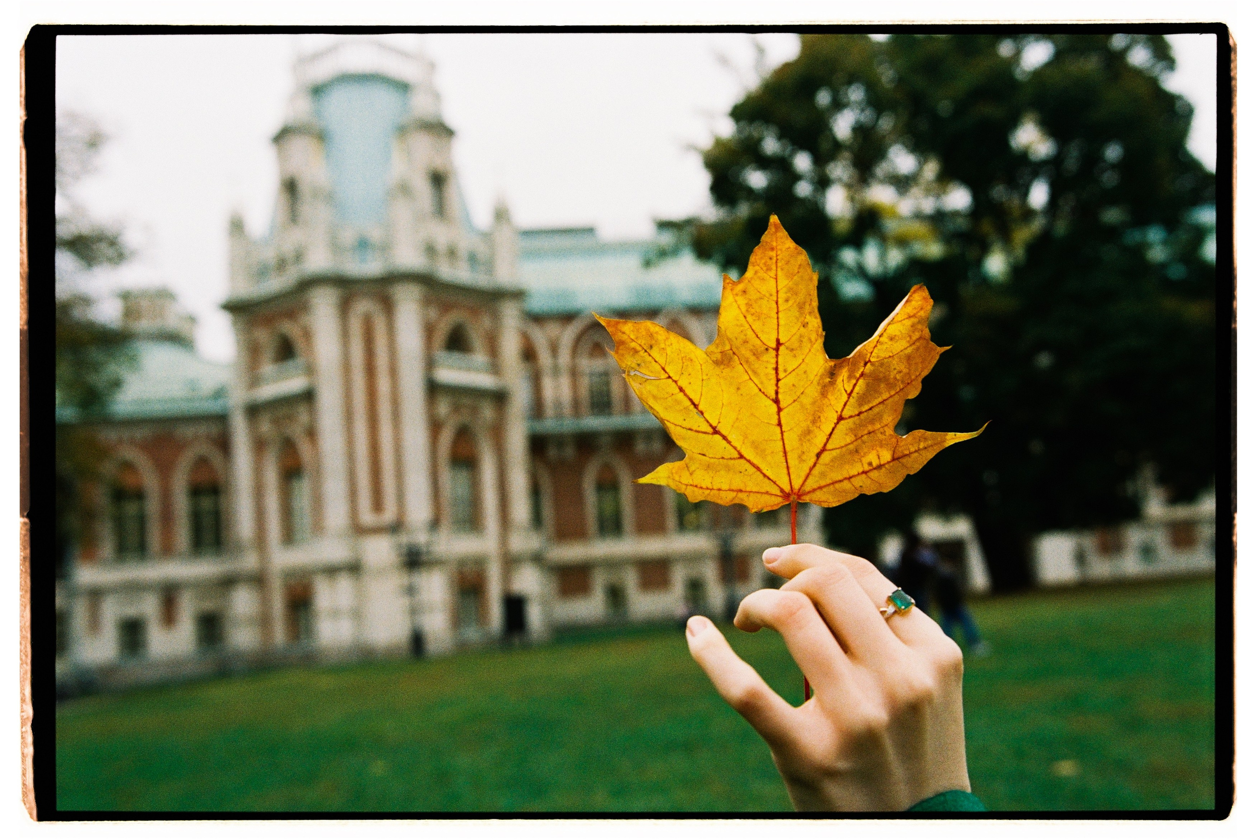 Ангелина. Свадебный фотограф в Москве Евгений Рыжов