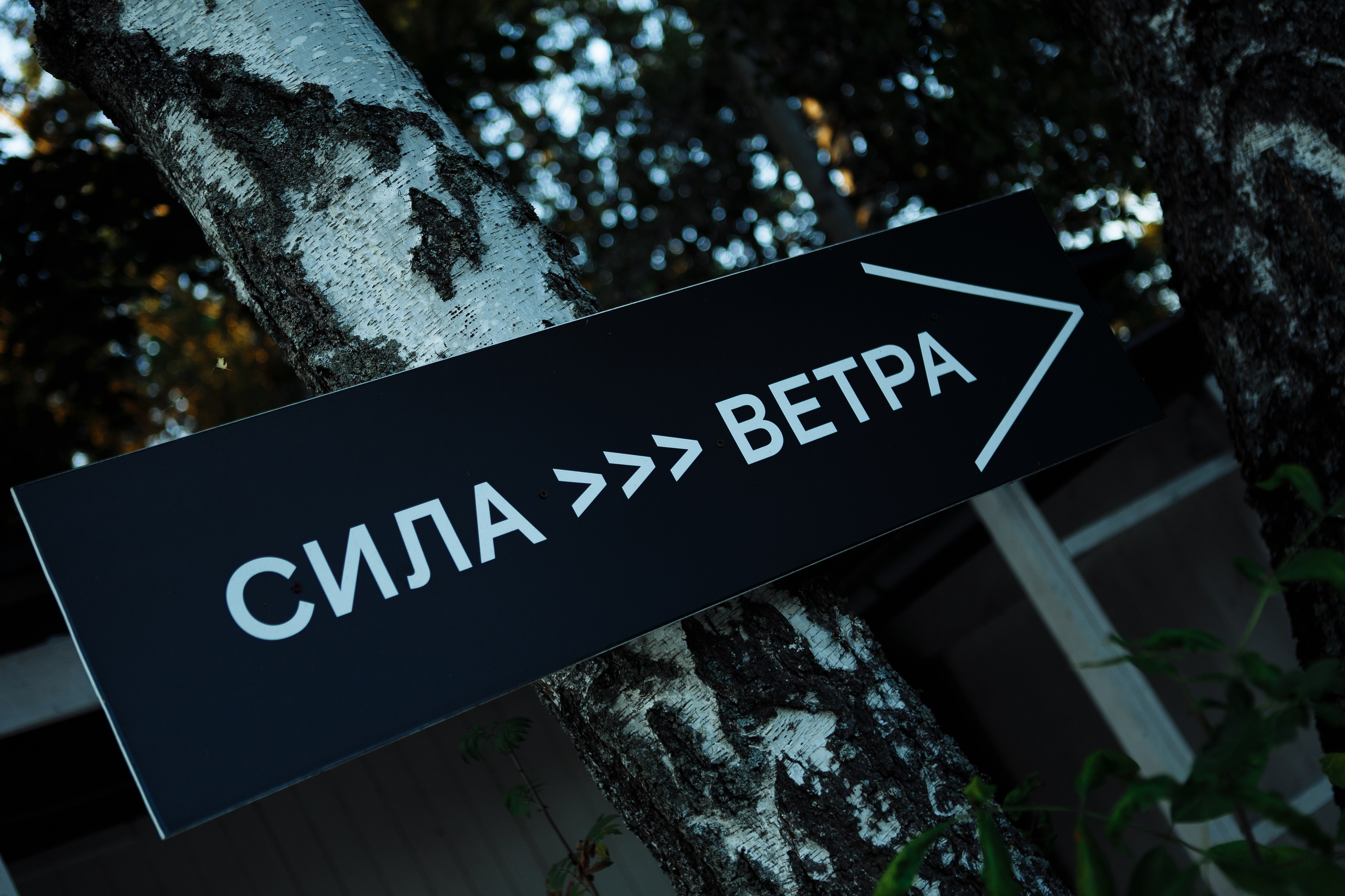 Под белым парусом. Свадебный Семейный Репортажный фотограф в Москве