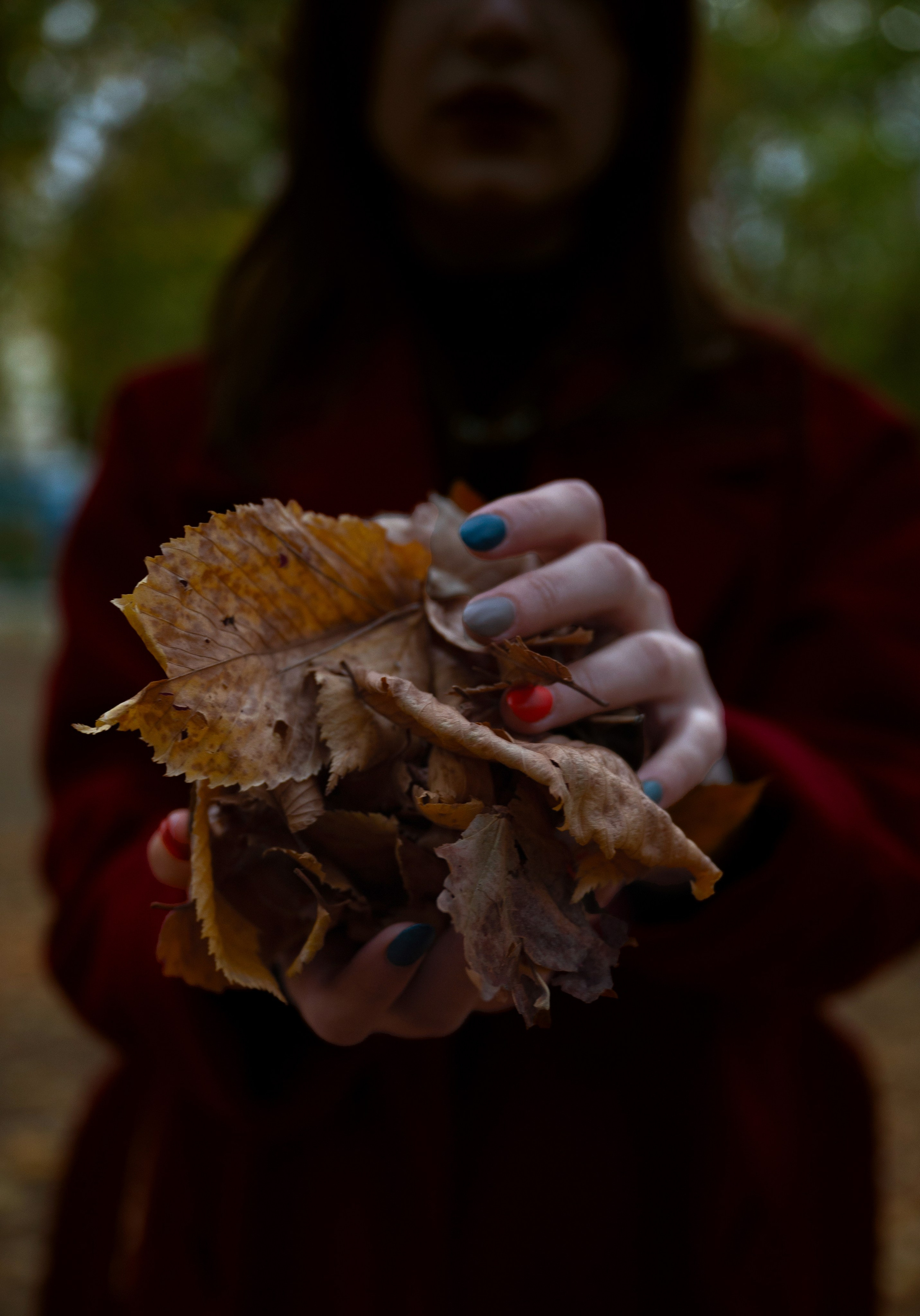 Осенний парк