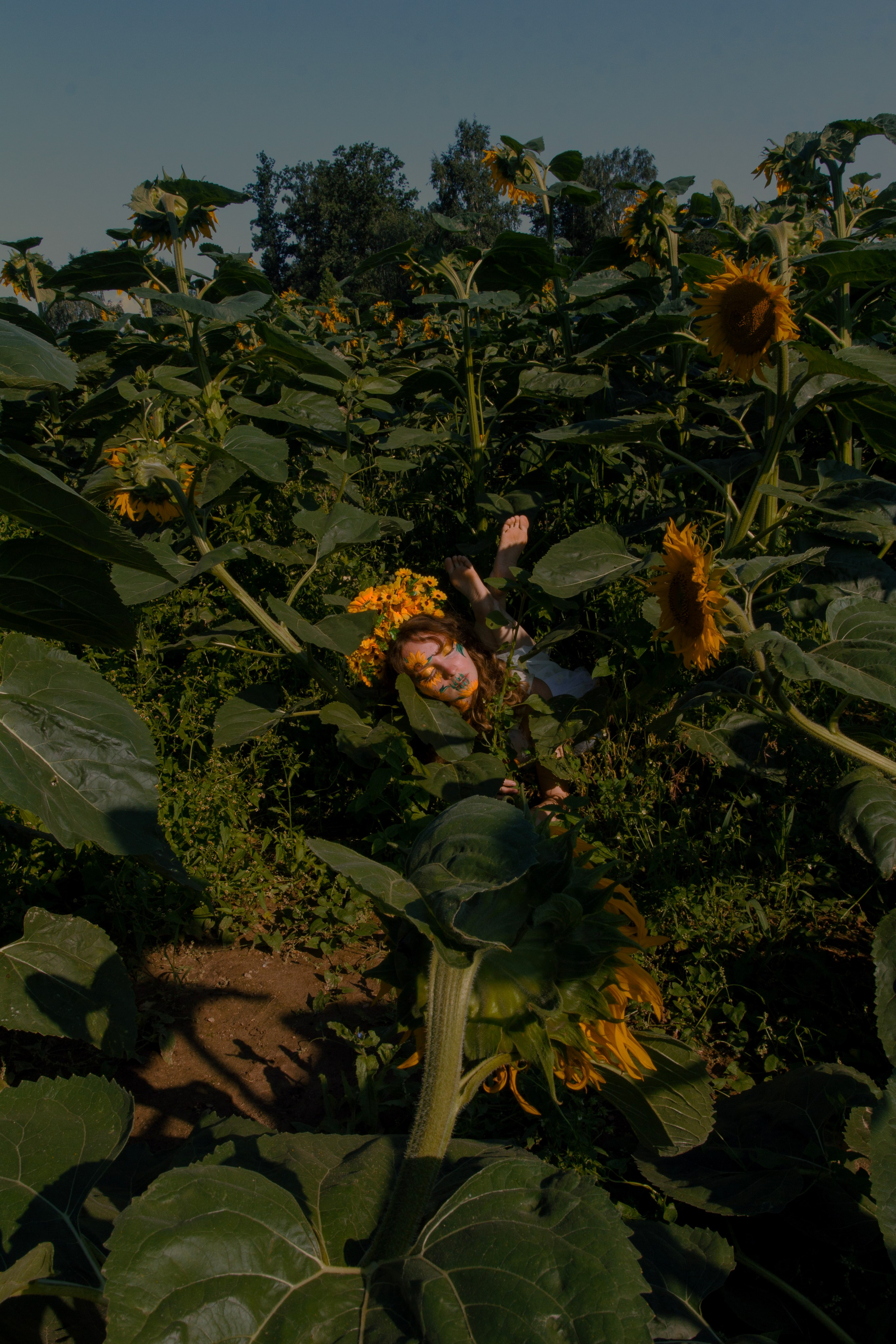 Совершенно летняя